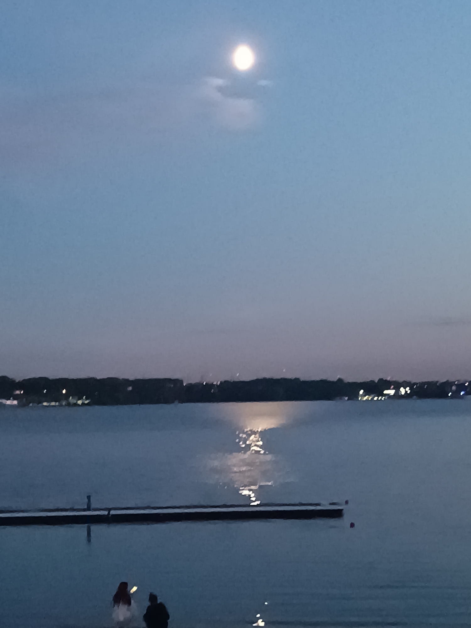 Hot air balloons and a lakeside party evening in Pirogovo