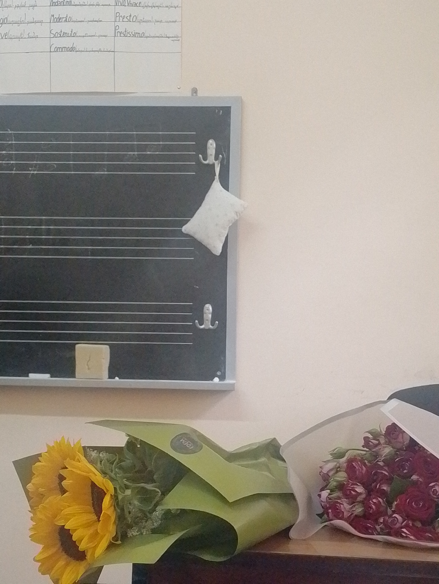 Music lesson captured in sunlit Armenian classroom
