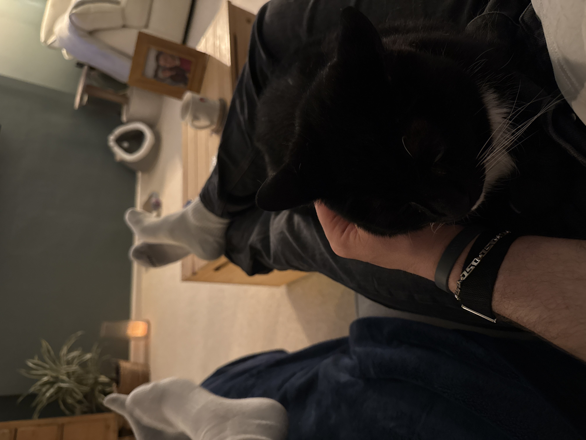 Evening Gaming Session With Cat Companion in East Suffolk