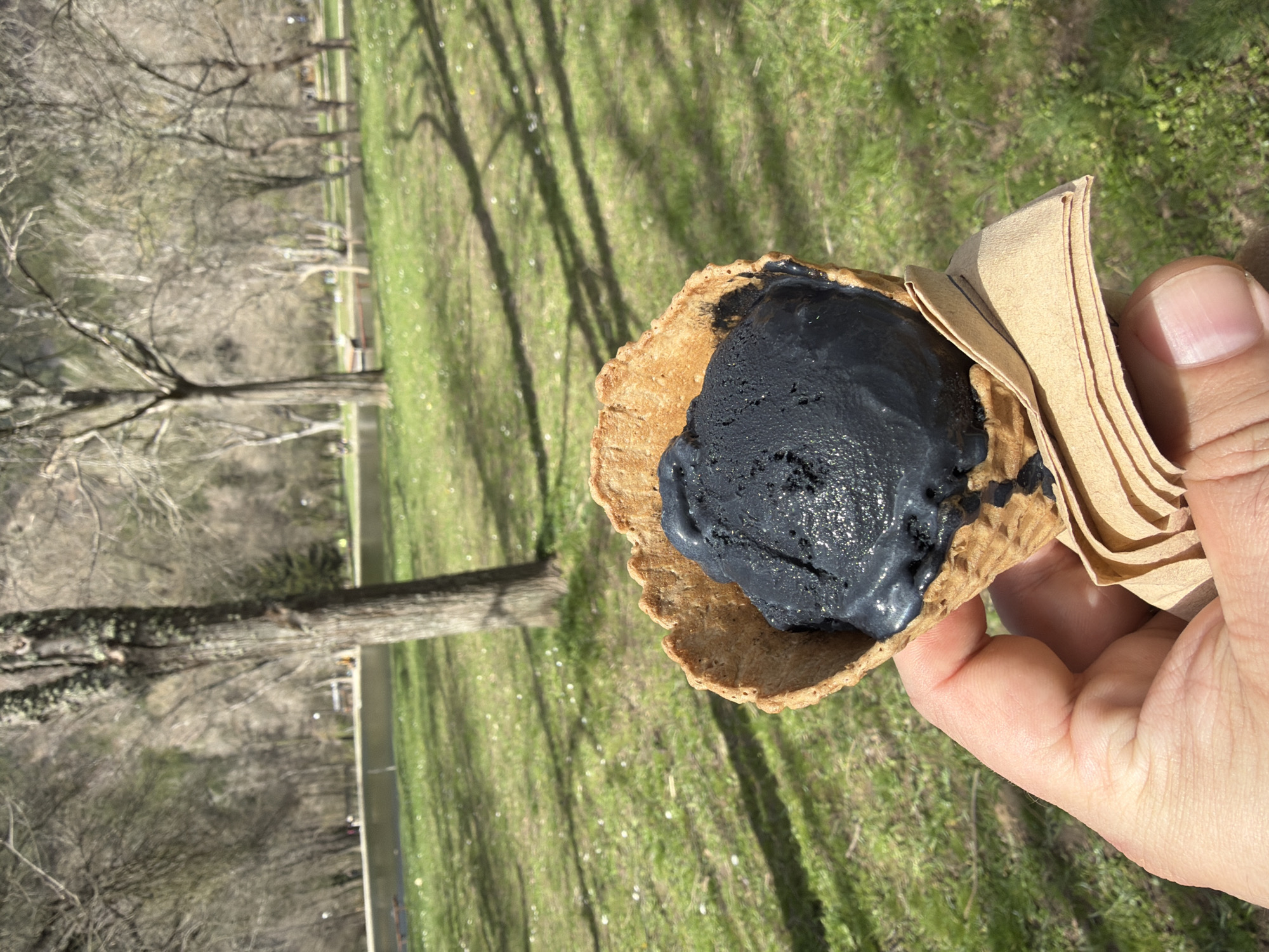 Black ice cream enjoyed in Blagoevgrad park
