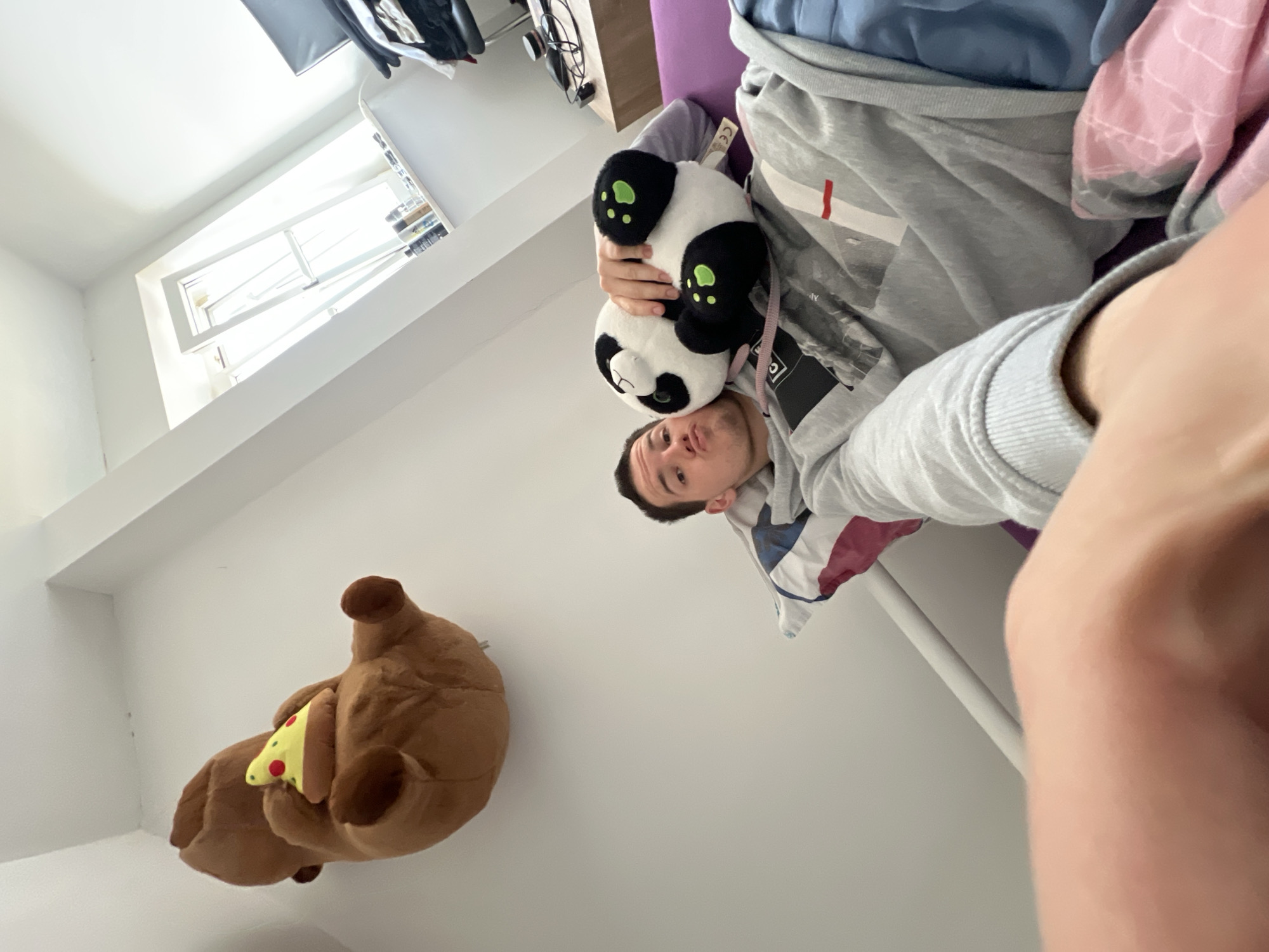 Person poses with panda, bear plush toys in Benningen