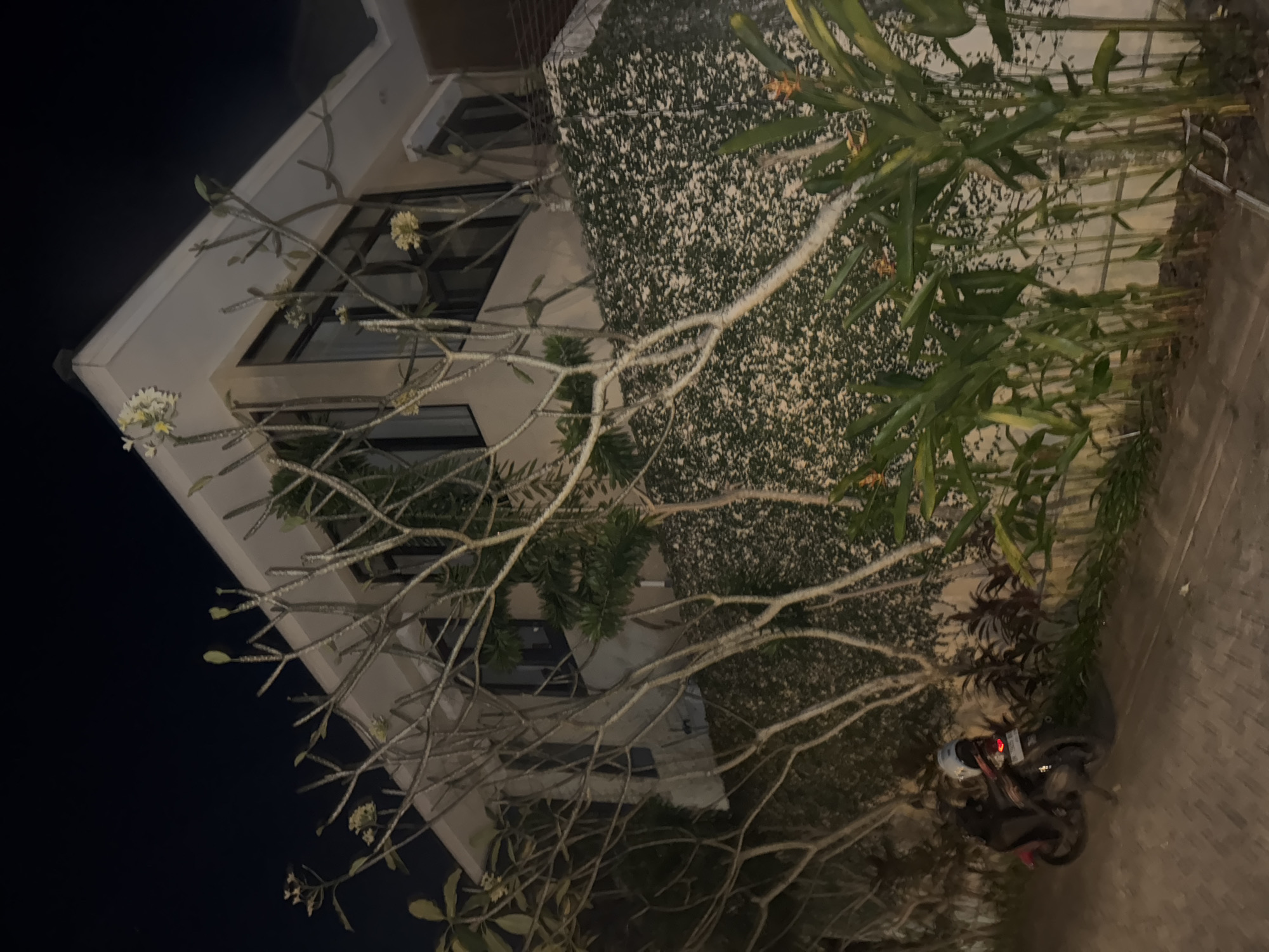 Nighttime walkthrough of a lit compound in Kuta Selatan, Bali
