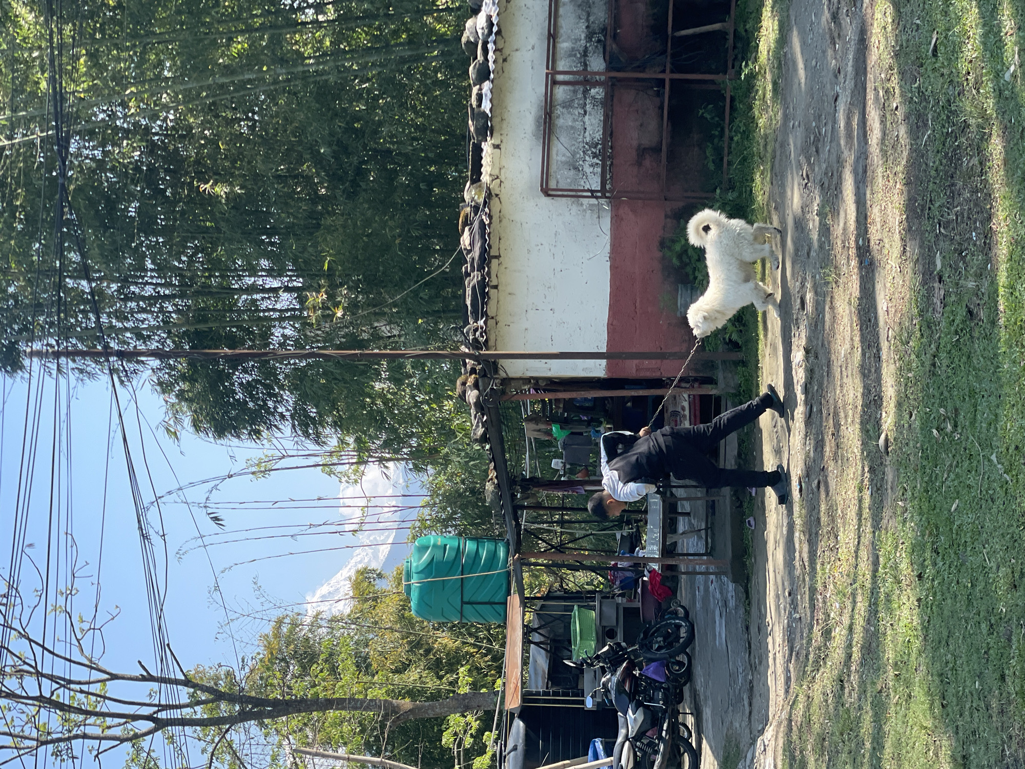 Morning life documented across multiple Pokhara locations in Nepal