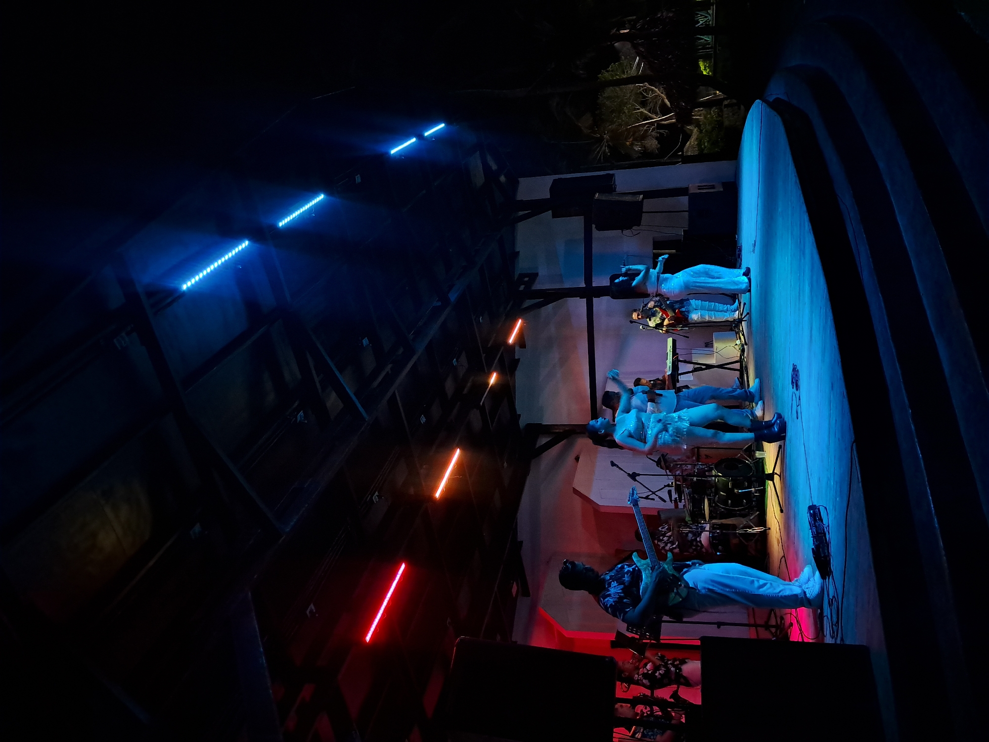 Night music performance draws costumed crowd in El Tirano