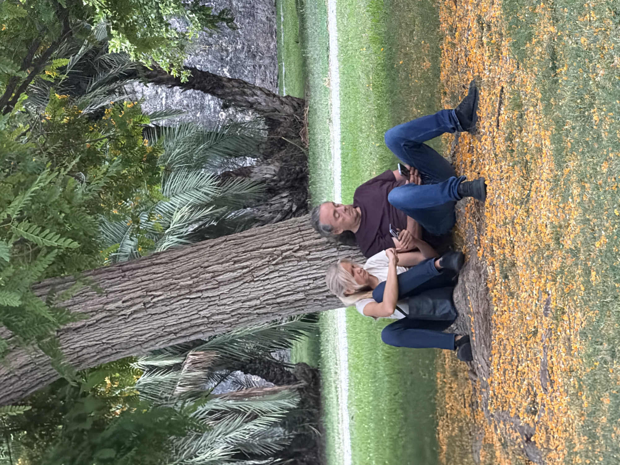 Alboraia park alive with evening runners, cyclists, and landmarks