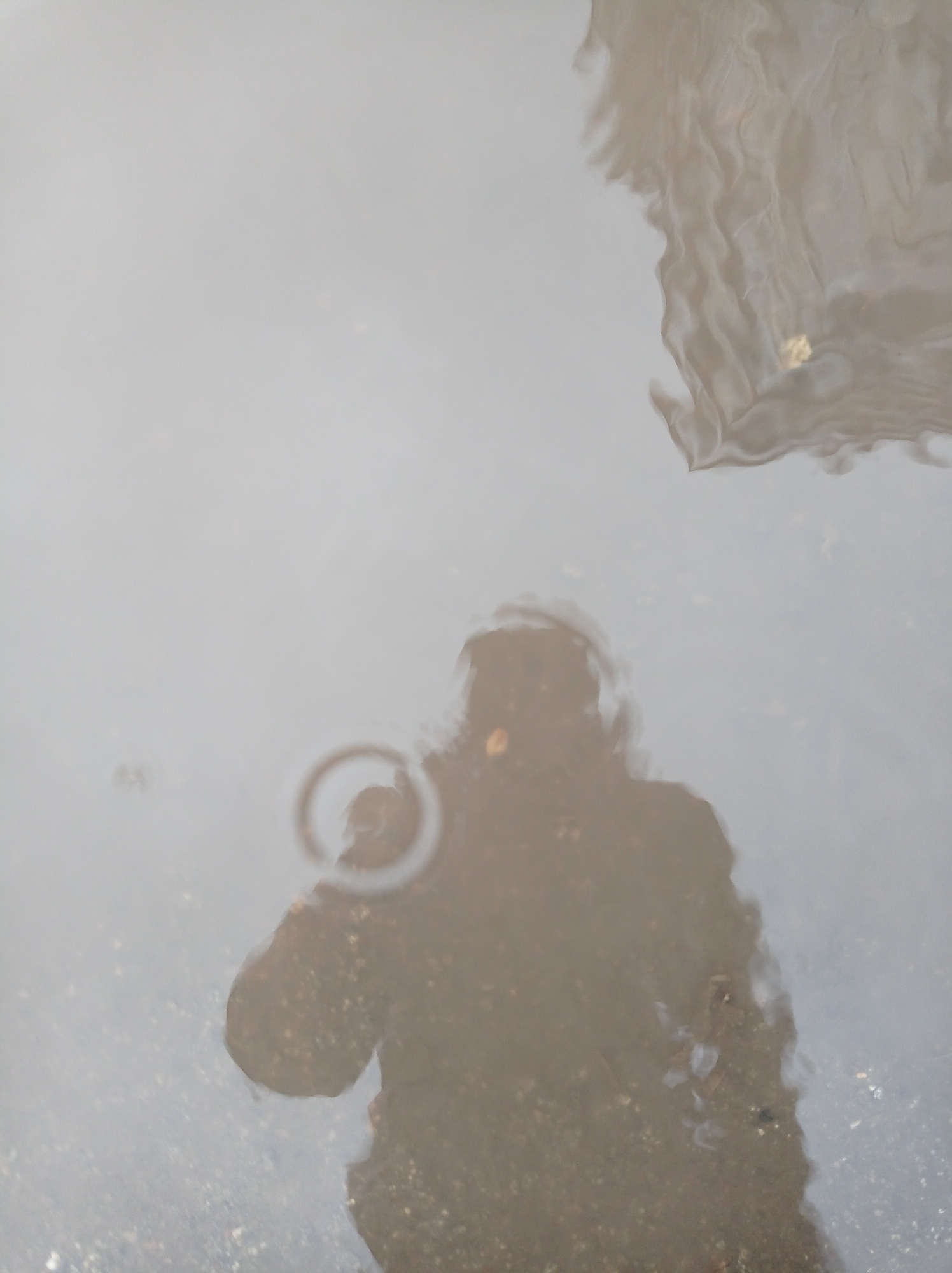 Early morning scenes captured in Degtyarsk: puddle reflections, breakfast