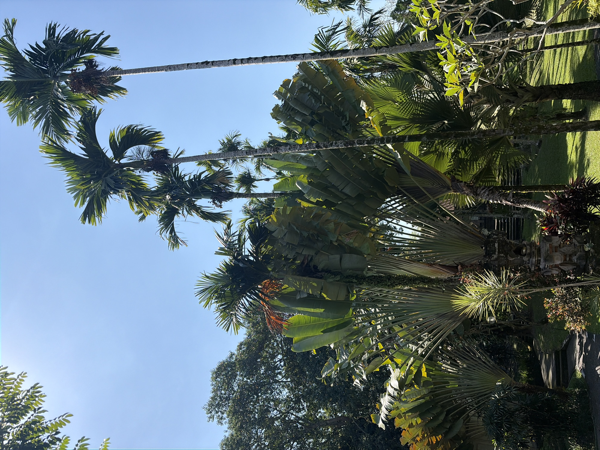 Ubud District, Indonesia