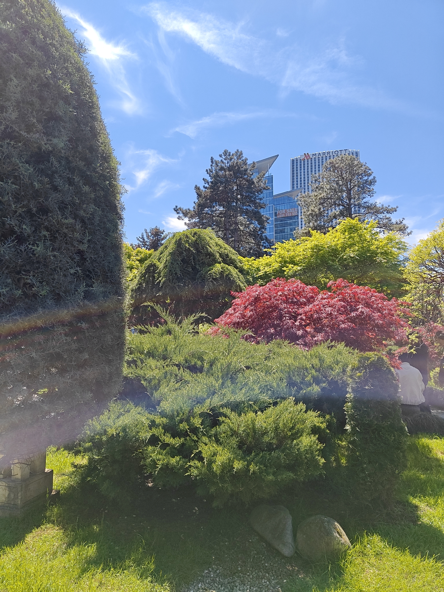Morning documentation of Batumi parks captures spring scenes, recreation