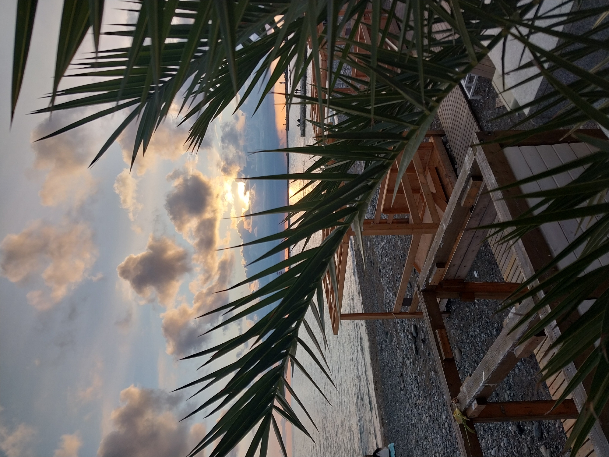 Beach scenes documented in Sochi featuring palm trees, Poseidon sculpture