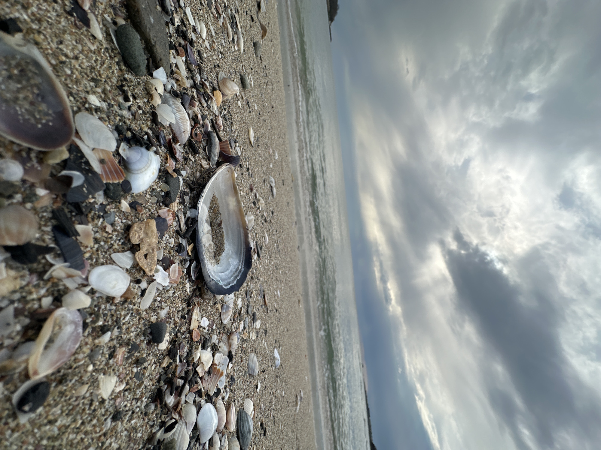 Morning beach documentation captures shells, pebbles in Kiten, Bulgaria