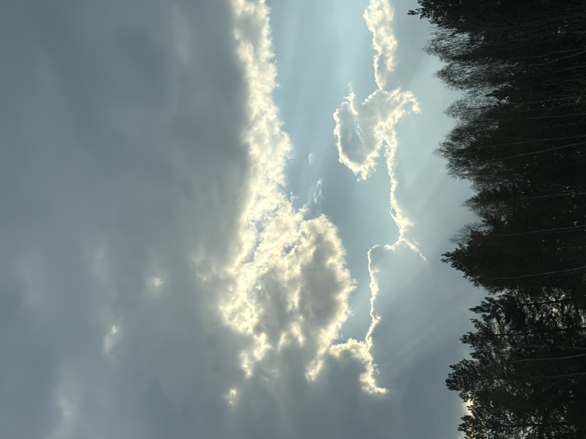 Dramatic sunlight breaks through clouds over Russian forest