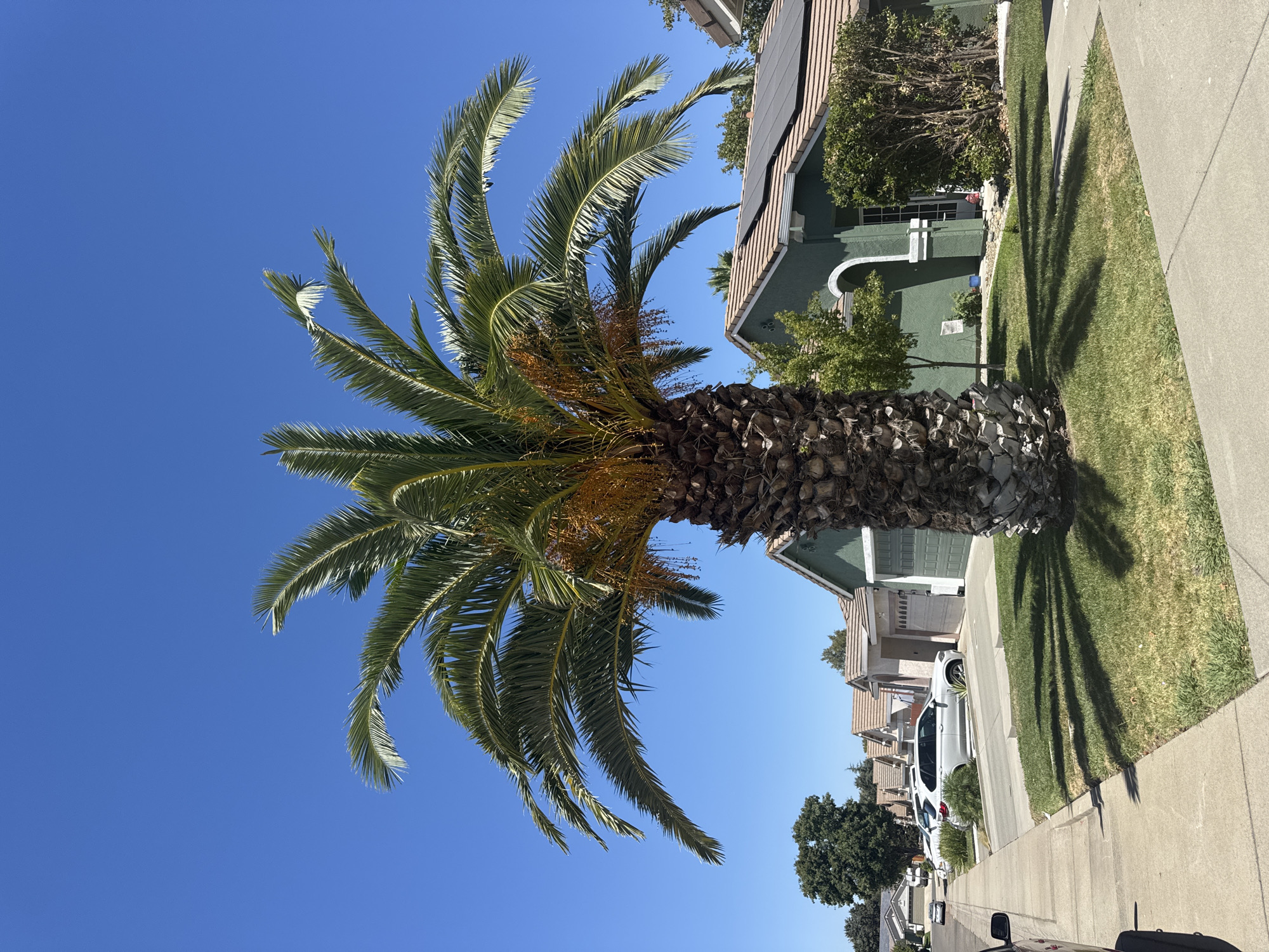 Sacramento, United States
