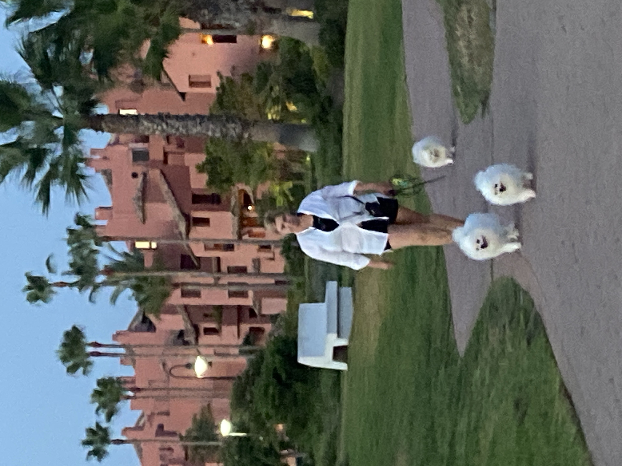 Evening walk along Estepona's beachfront promenade with dogs