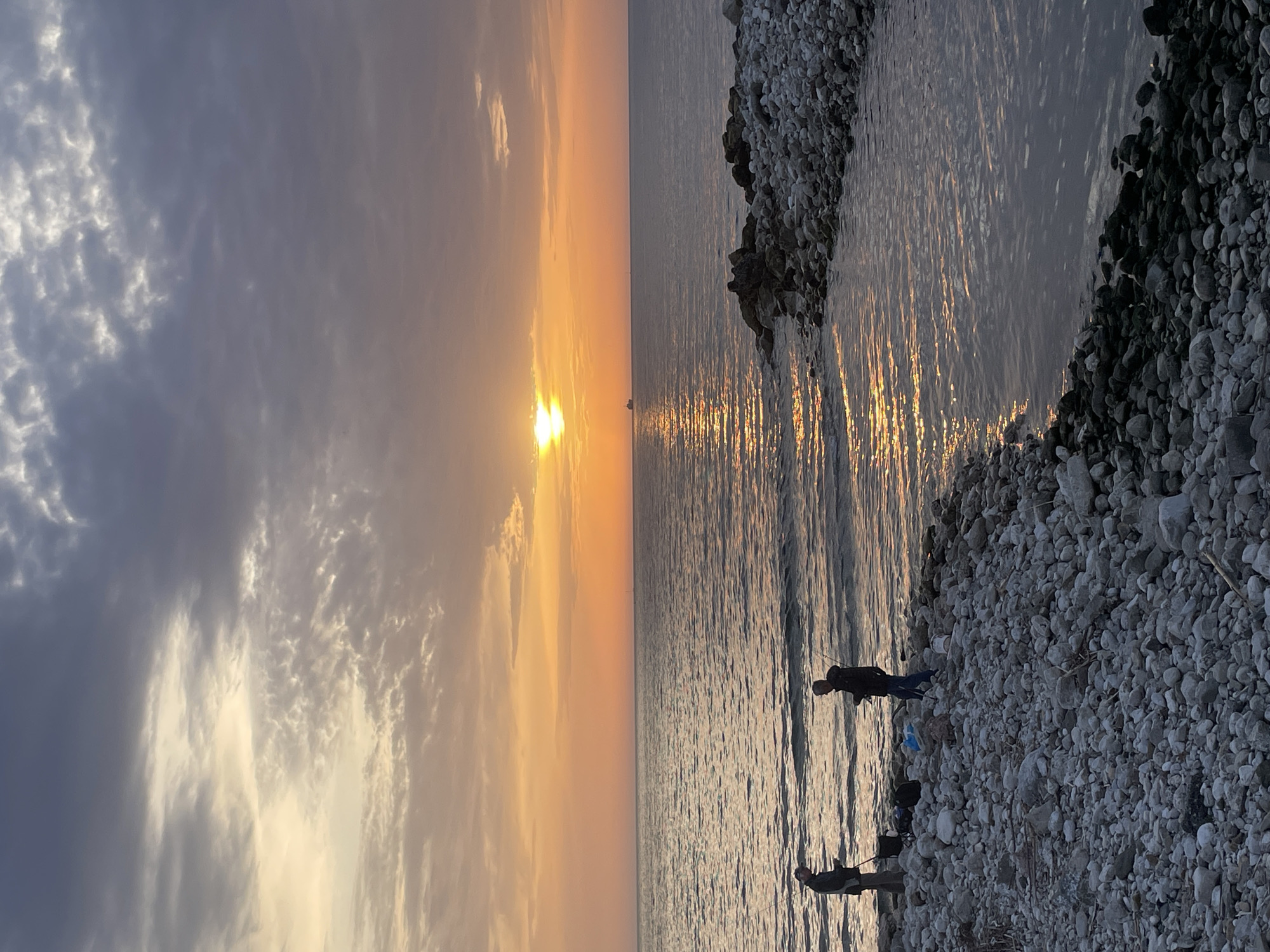 Sunset documented along Bar Montenegro waterfront with wildlife sightings
