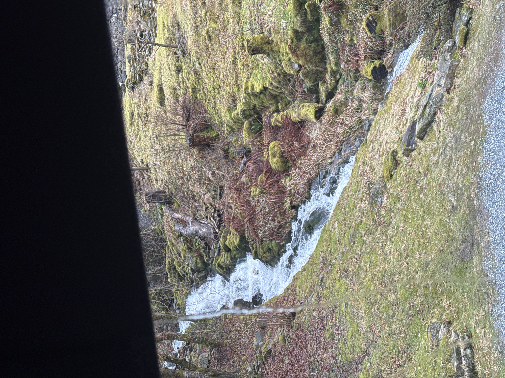 Waterfall flows down mossy slope in Bergen, Norway
