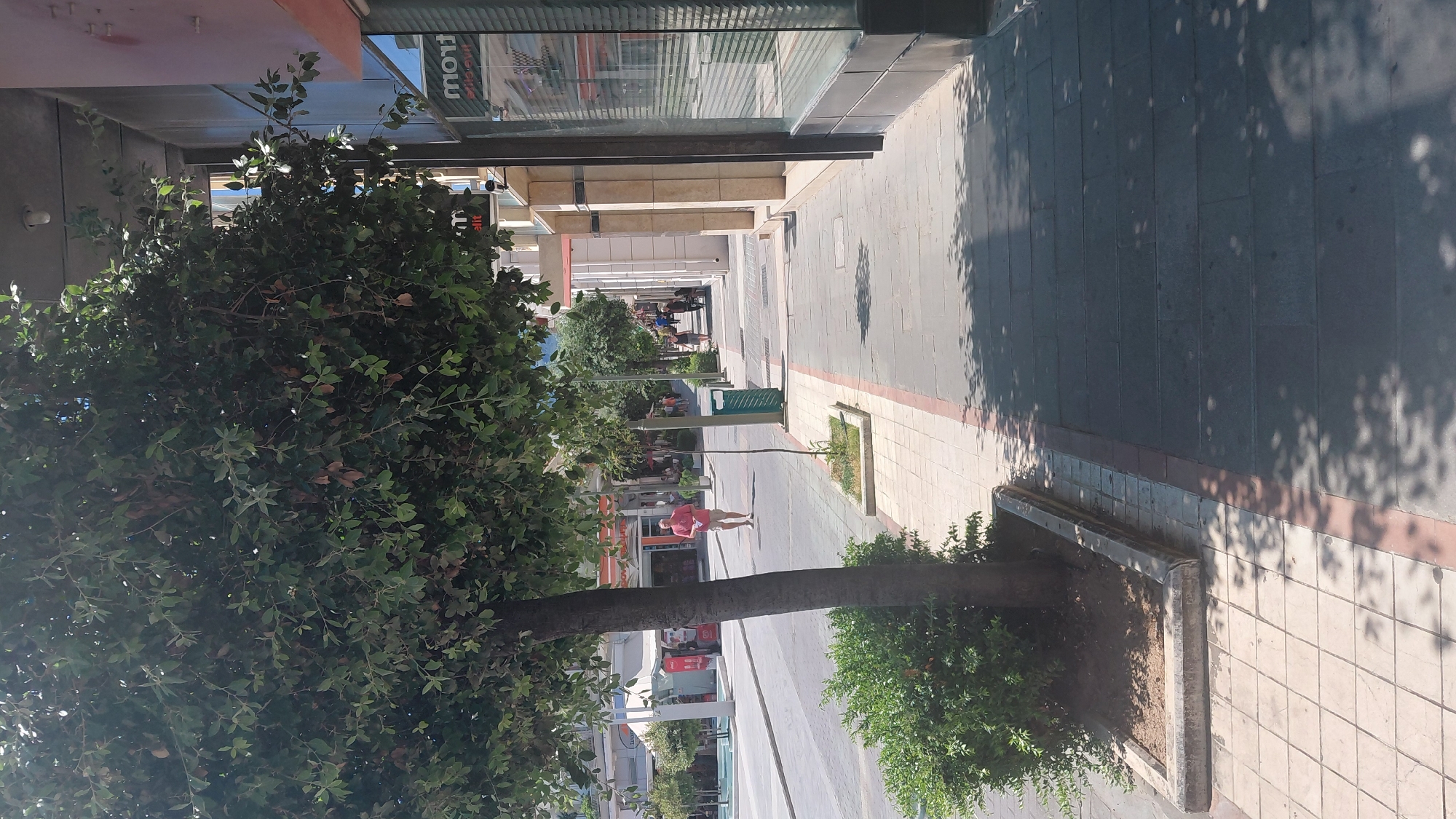 Morning stroll and chocolate bread in Aegio, Greece