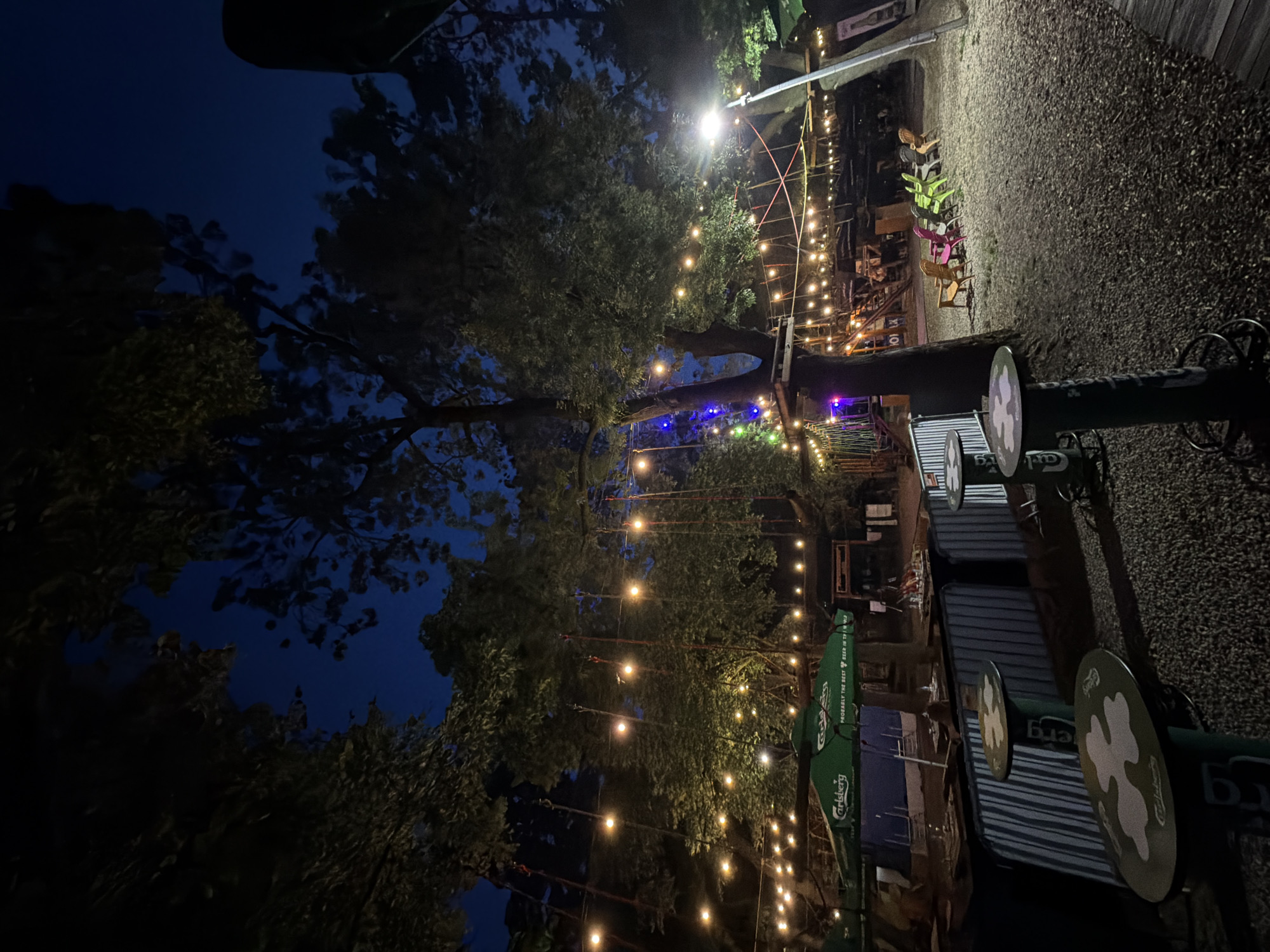 Evening recreational tour through Sofia's parks and attractions documented