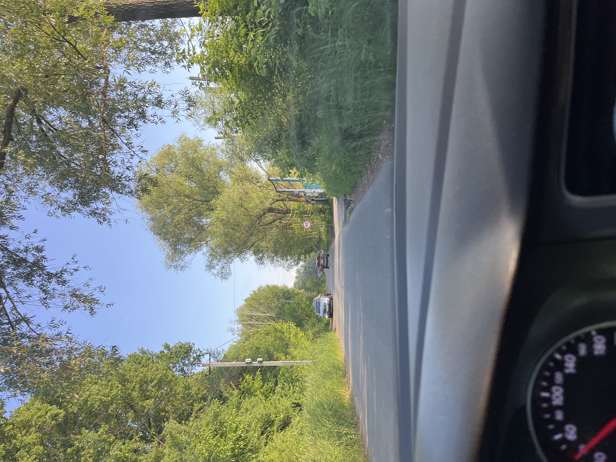 Forest road curves through dense trees near Октябрьский