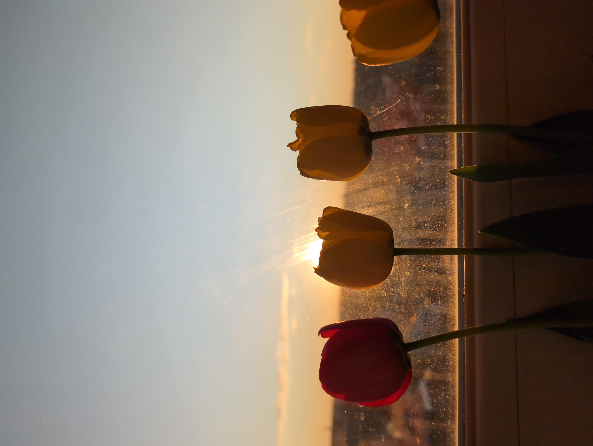 Spring afternoon moments captured across Izhevsk, Russia