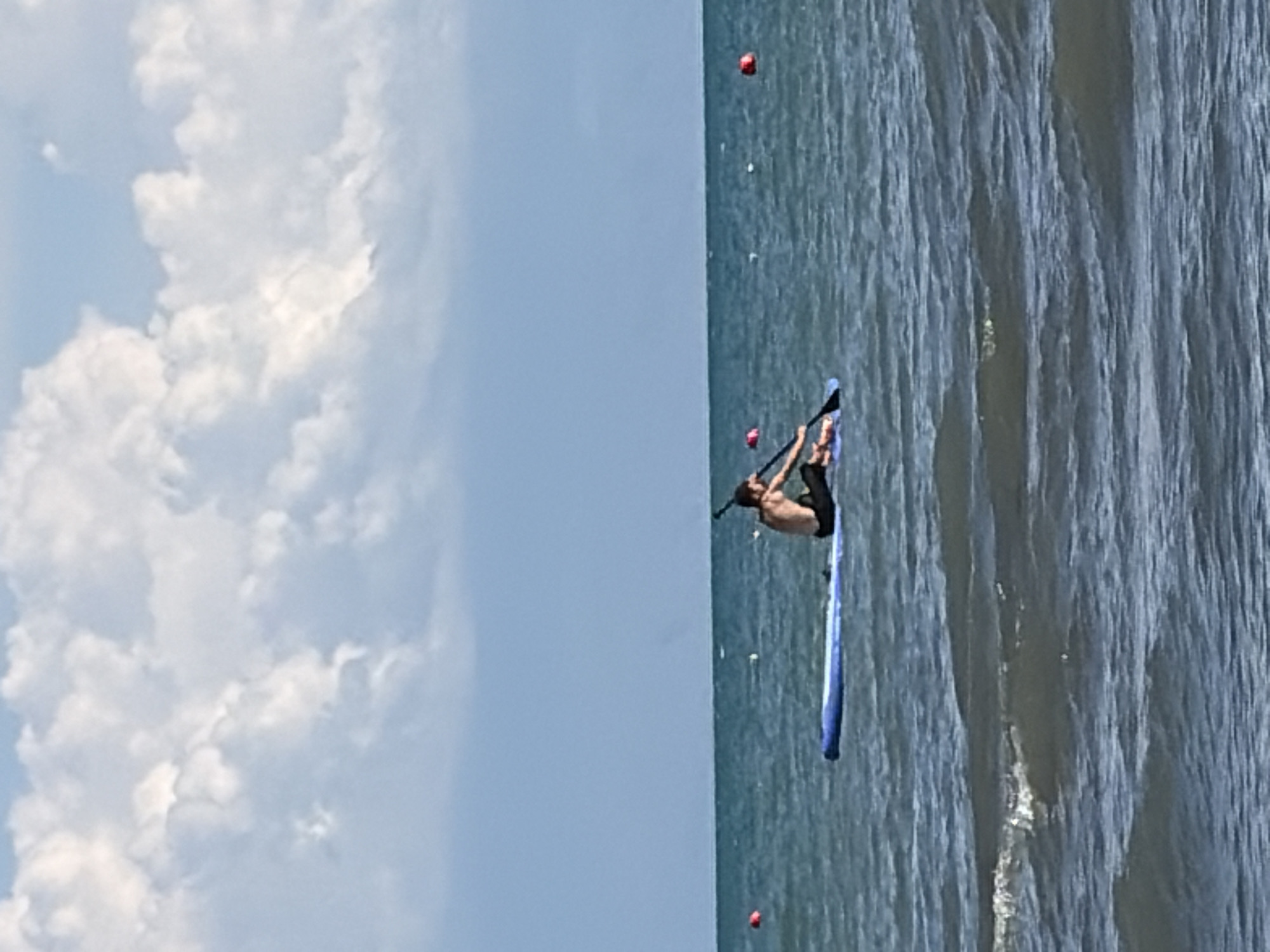 Paddleboarding, horses in the shallows, and beach activity on a sunny day