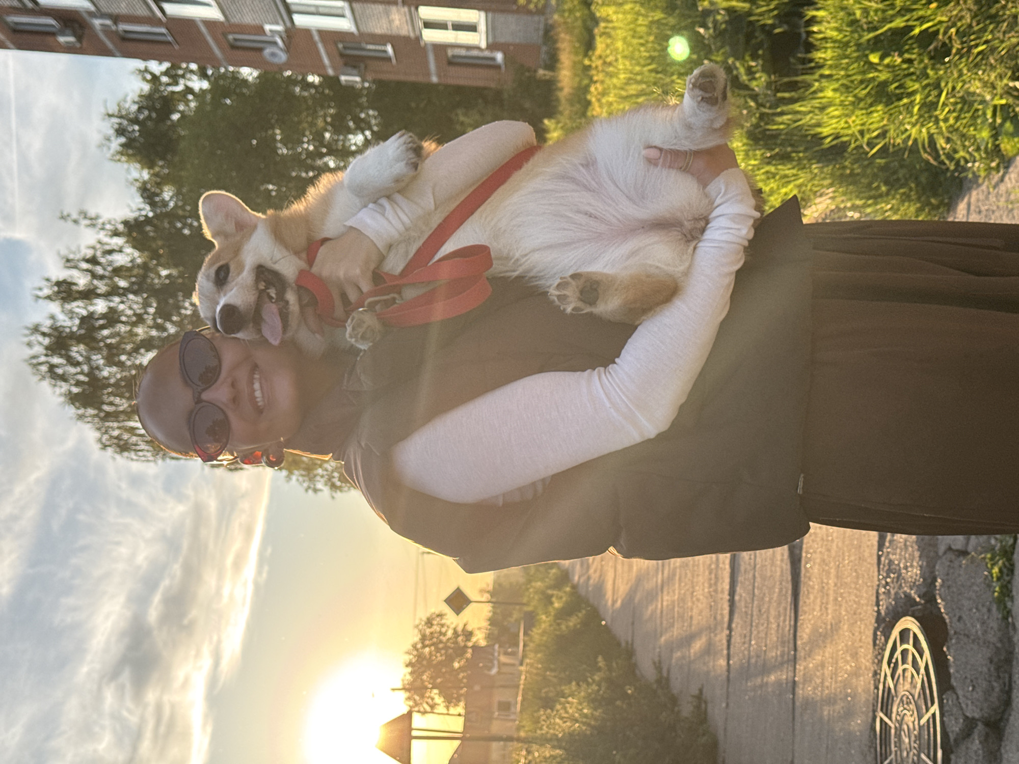 Person poses with Corgi during golden hour in Chaikovsky