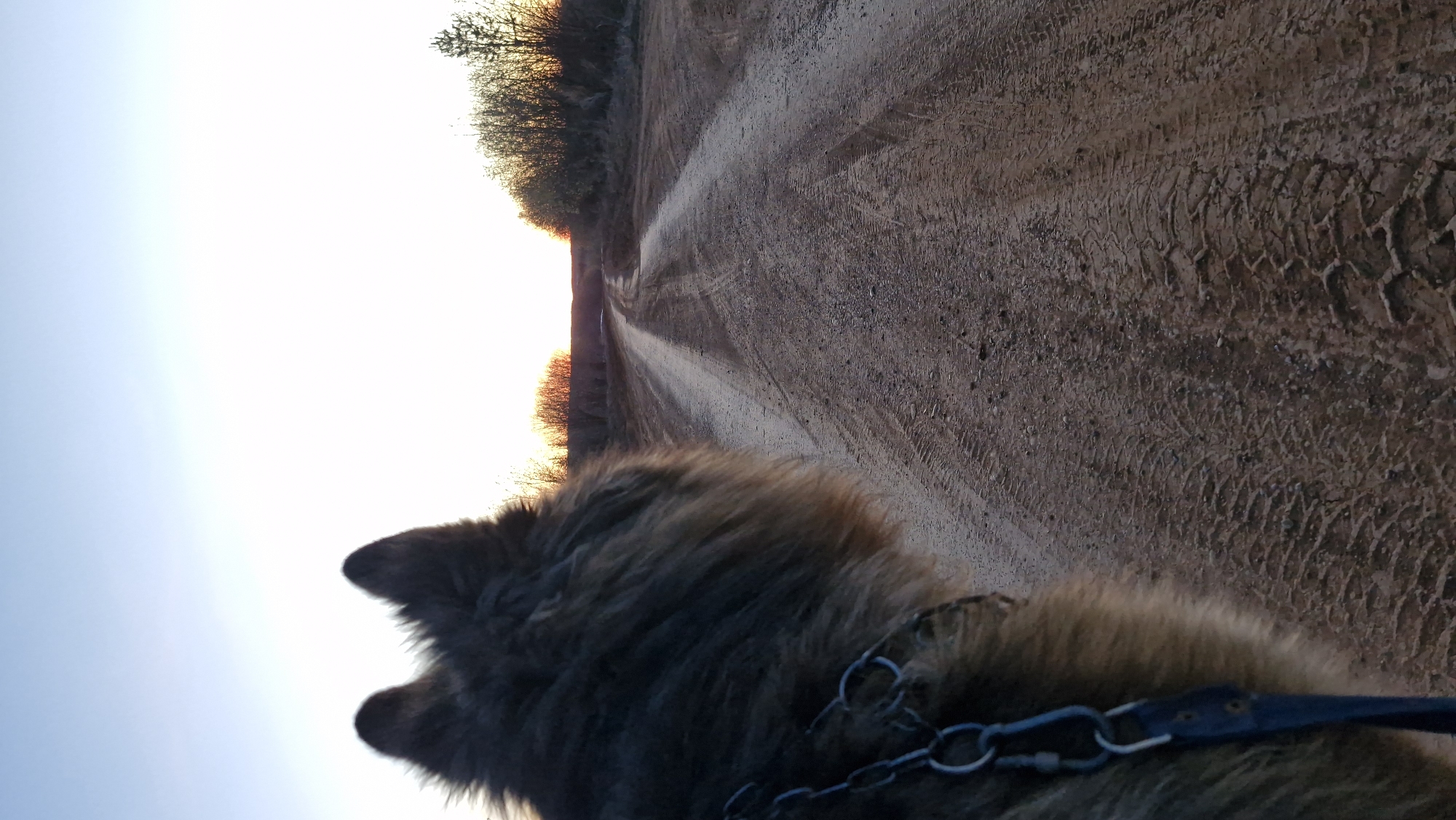 Sunset documented along dirt road in Otchor, Russia