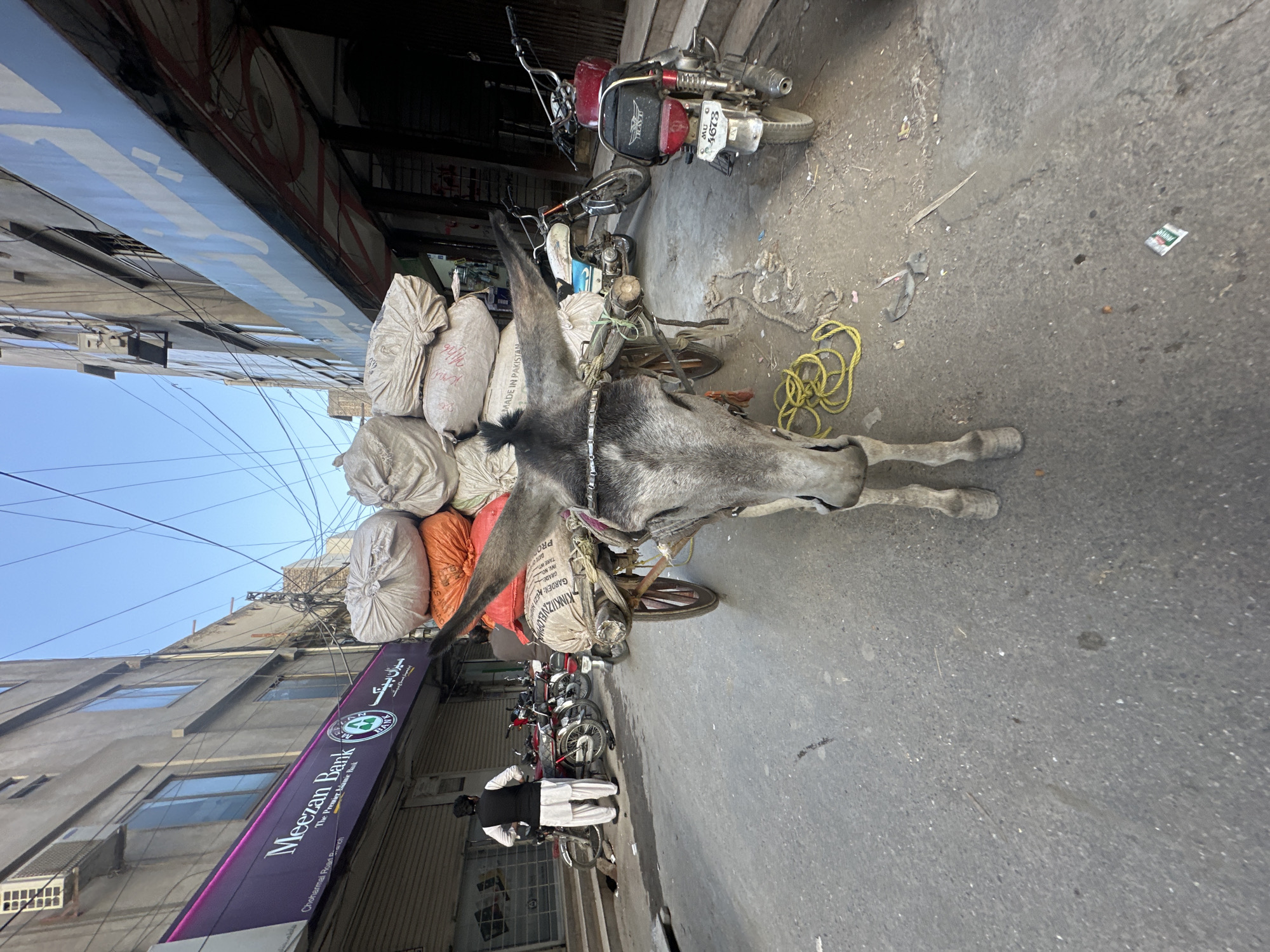 Street vendors work with pack donkey in Quetta
