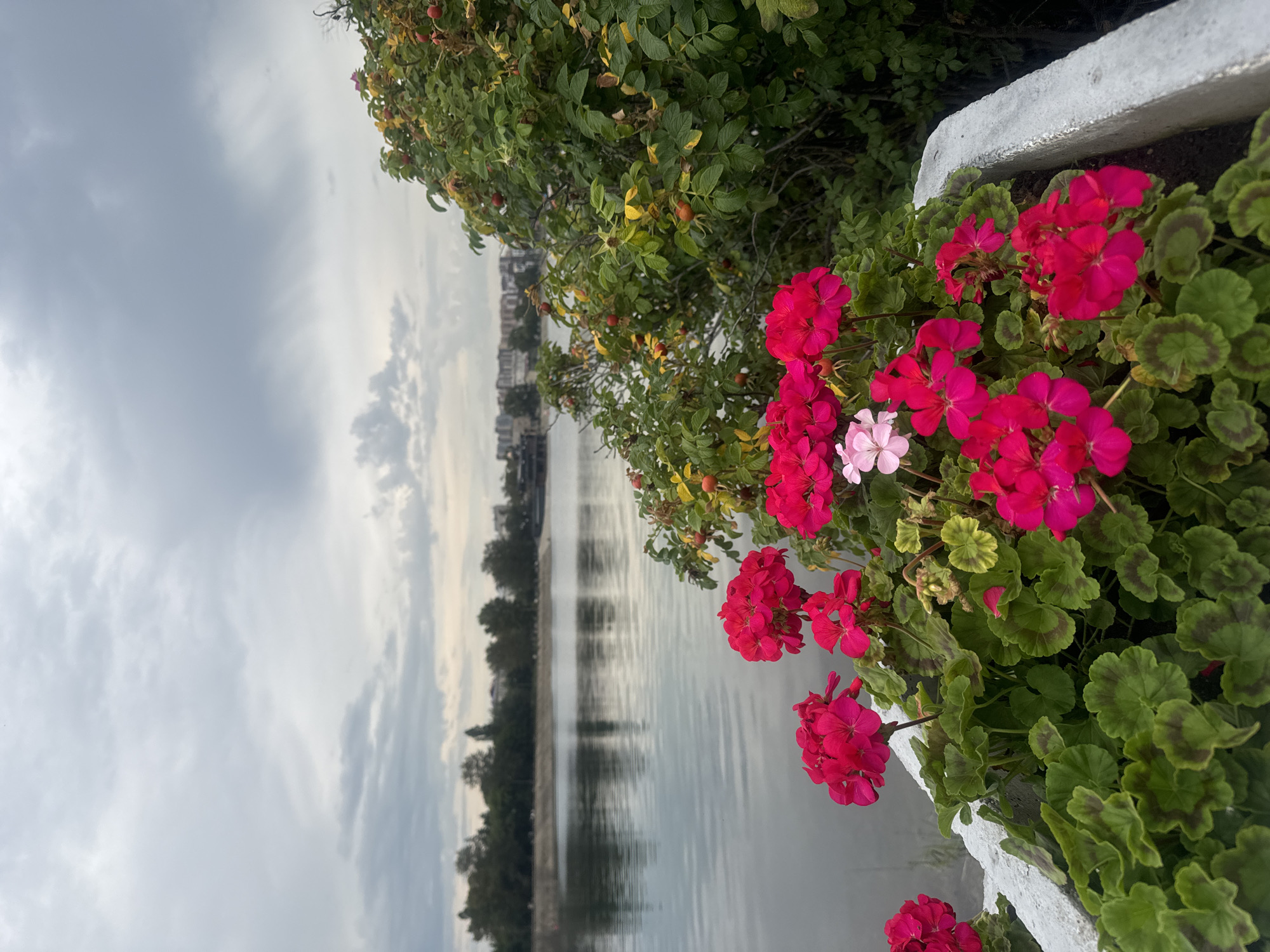 Irkutsk lakefront: paddle boats, rosehips, and summer flowers