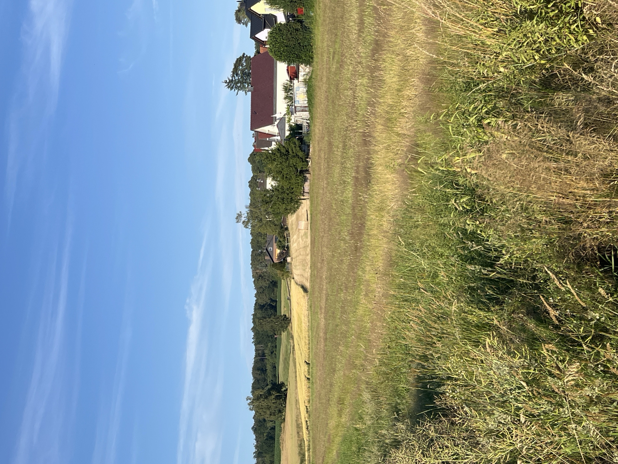 Dry summer fields under blue skies in Neustadt, Germany
