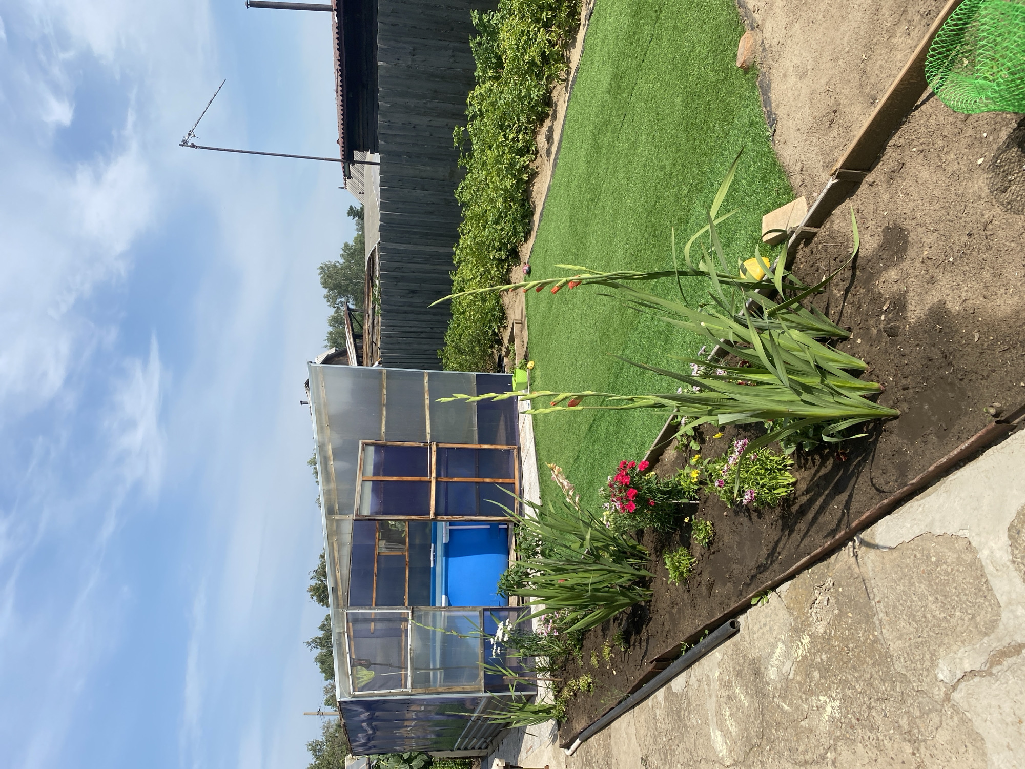 Summer at a Russian home: garden, sunflower, and living room