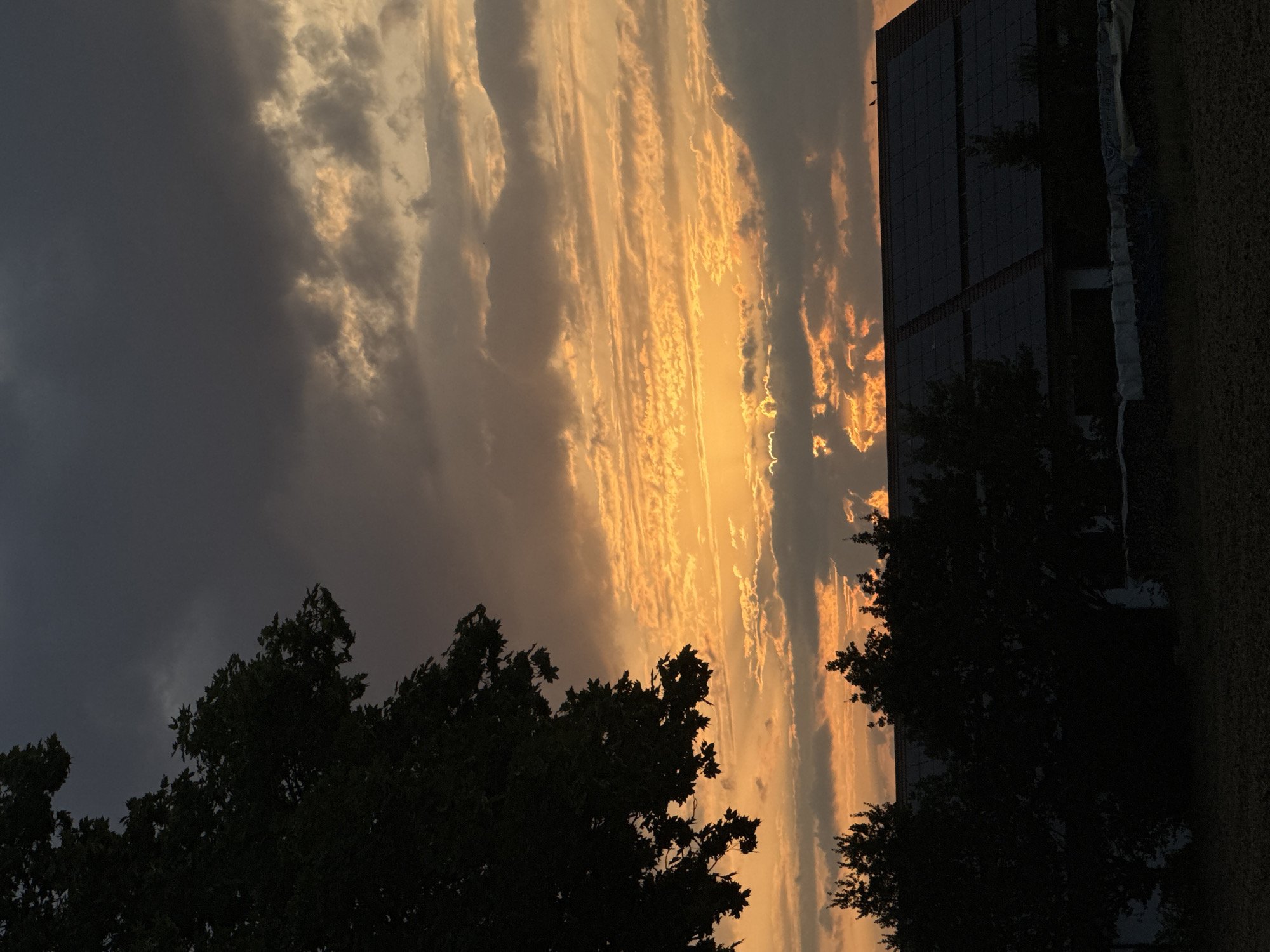 Summer garden and sunset, Wettstetten