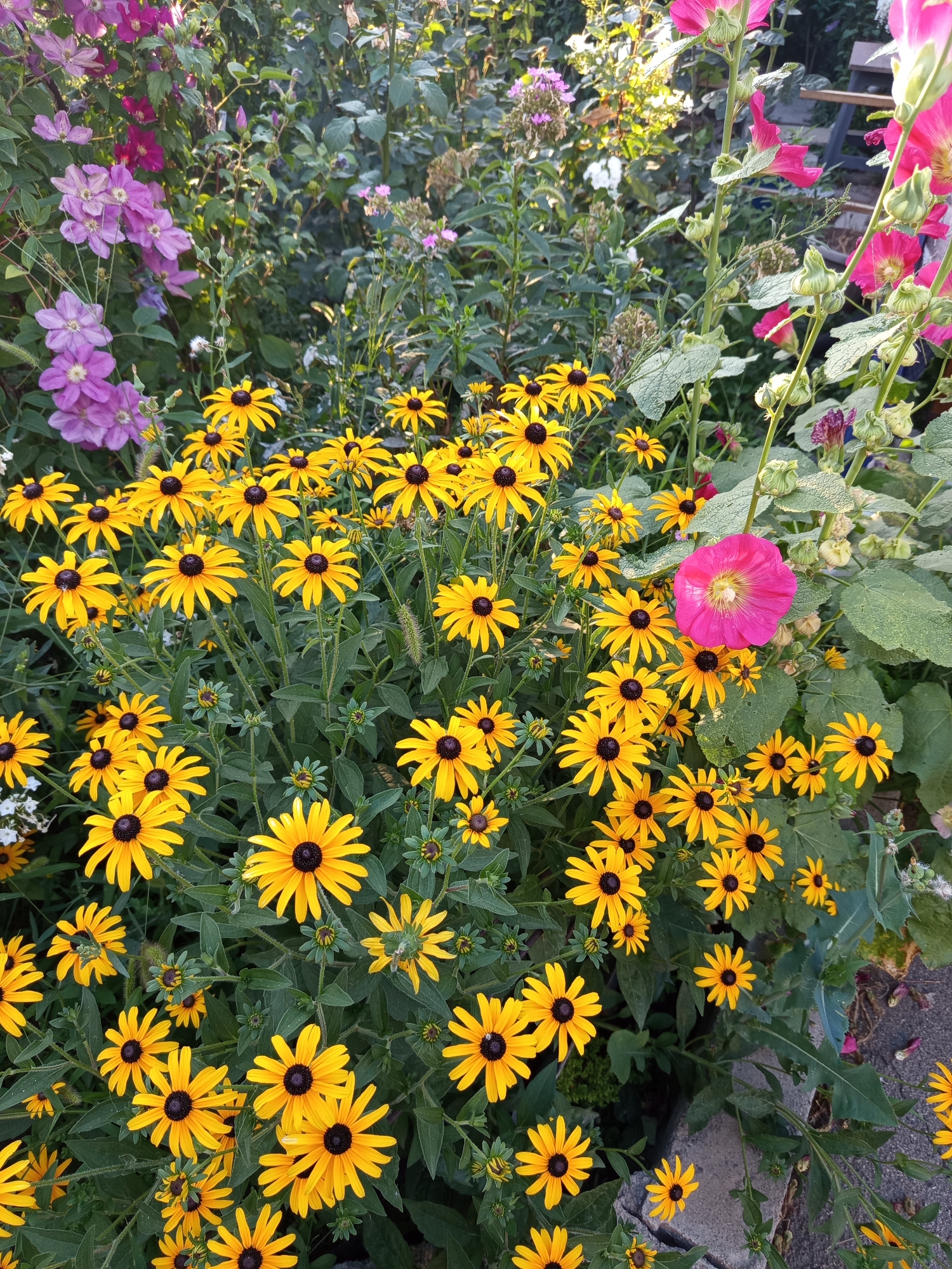 Afternoon stroll through Almaty's streets, gardens, and parks