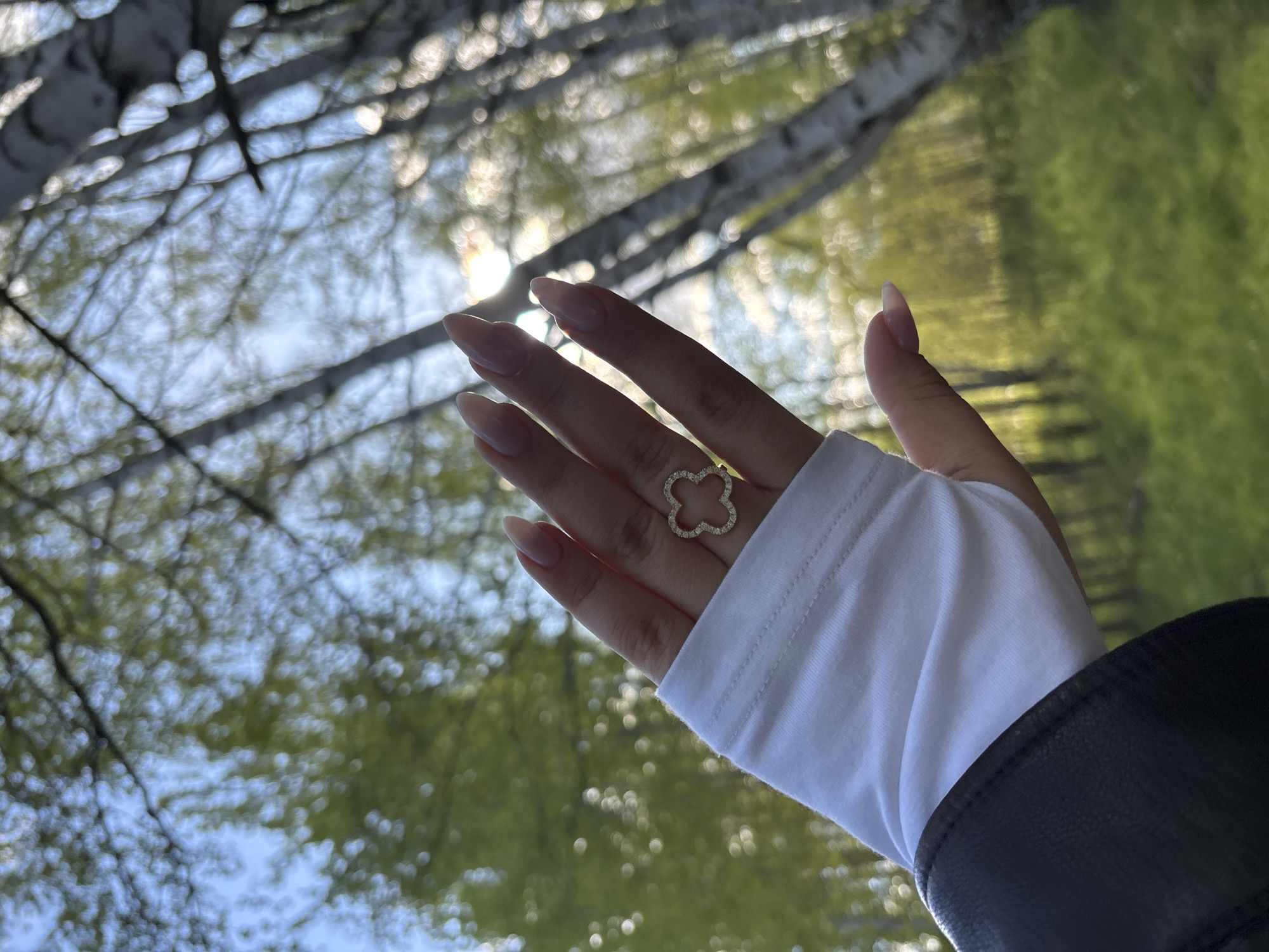 Woman with golden clover ring spotted amid birch trees