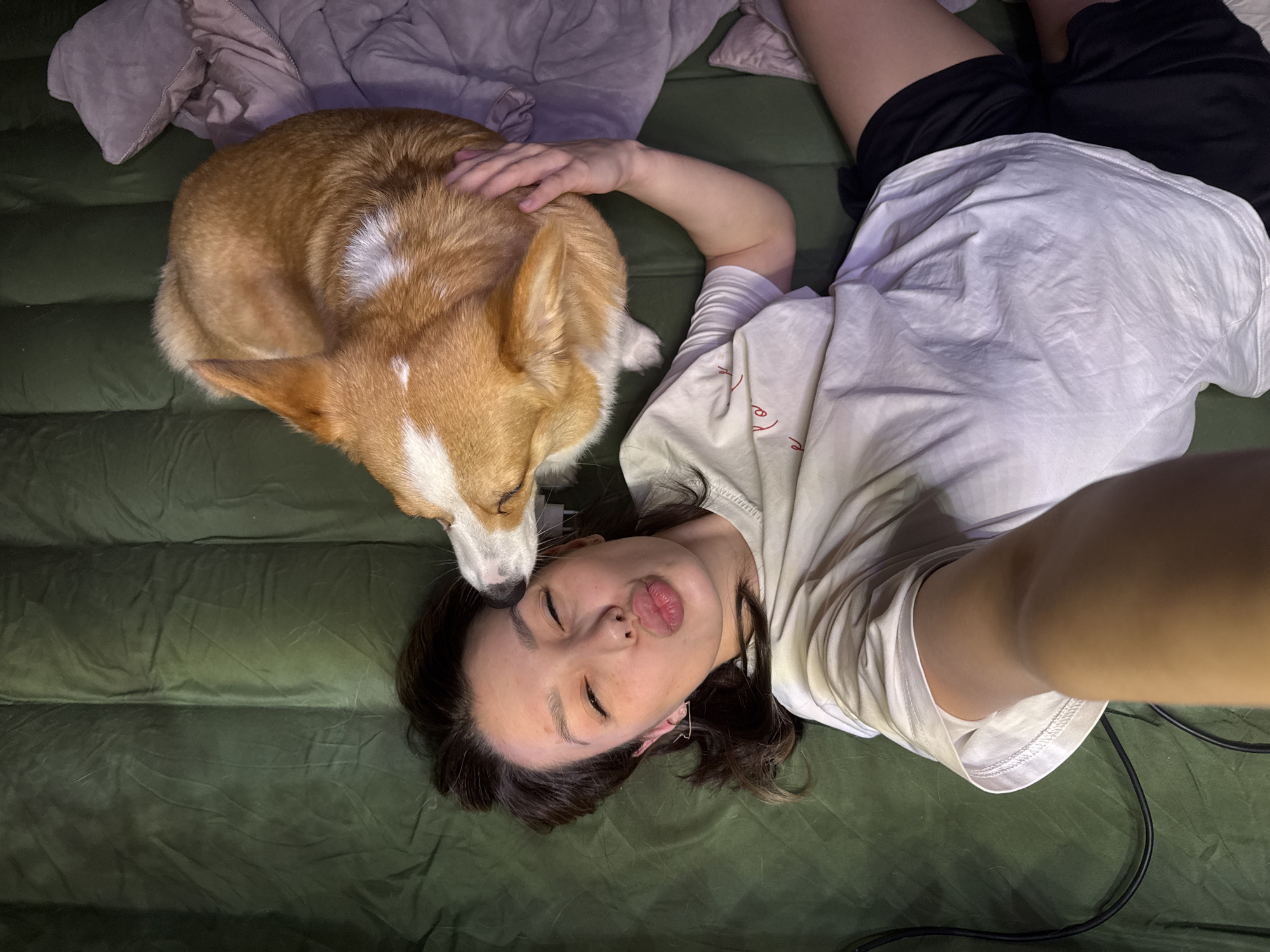 Quiet domestic moments with pets and selfies captured indoors