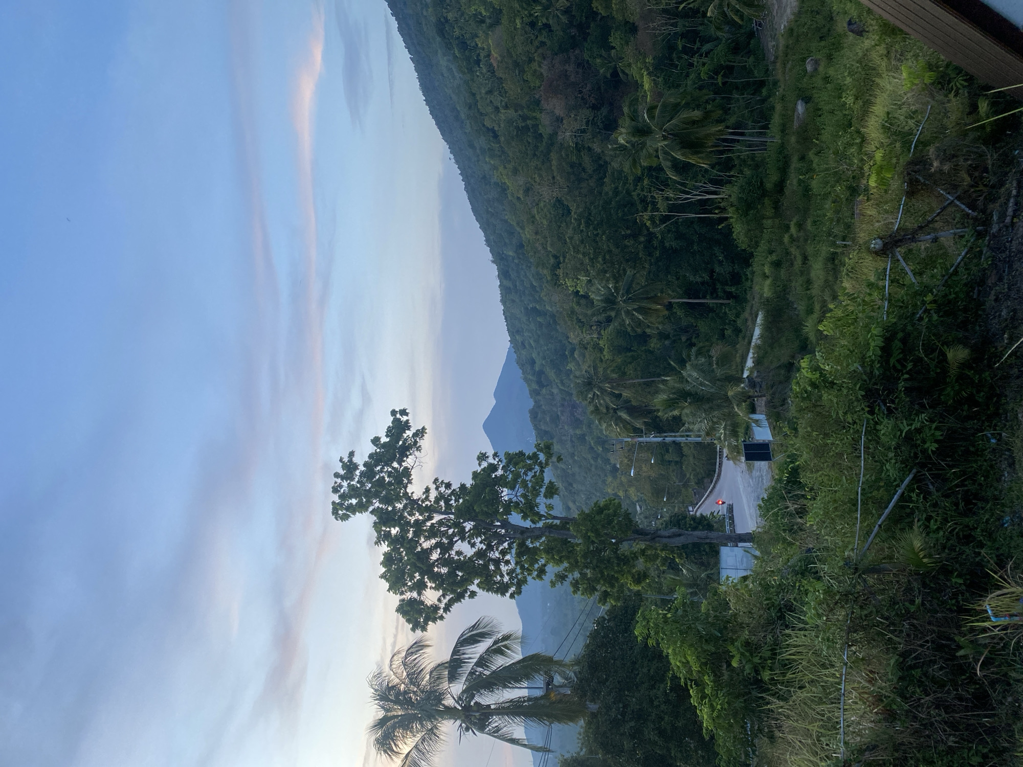 Witness documents tropical dusk scenery in Baan Kai, Thailand