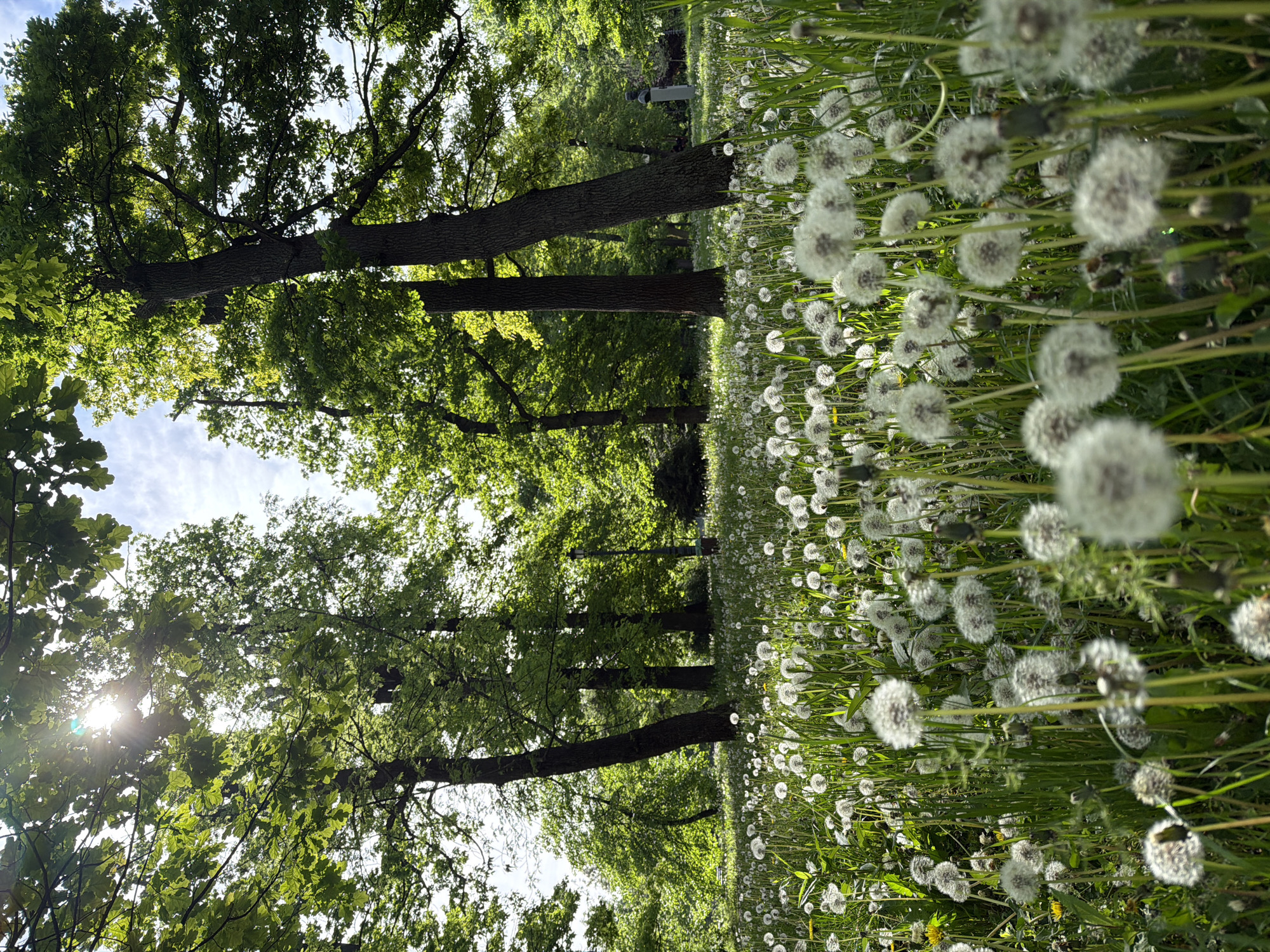 Morning park visit documented in Sofia, Bulgaria
