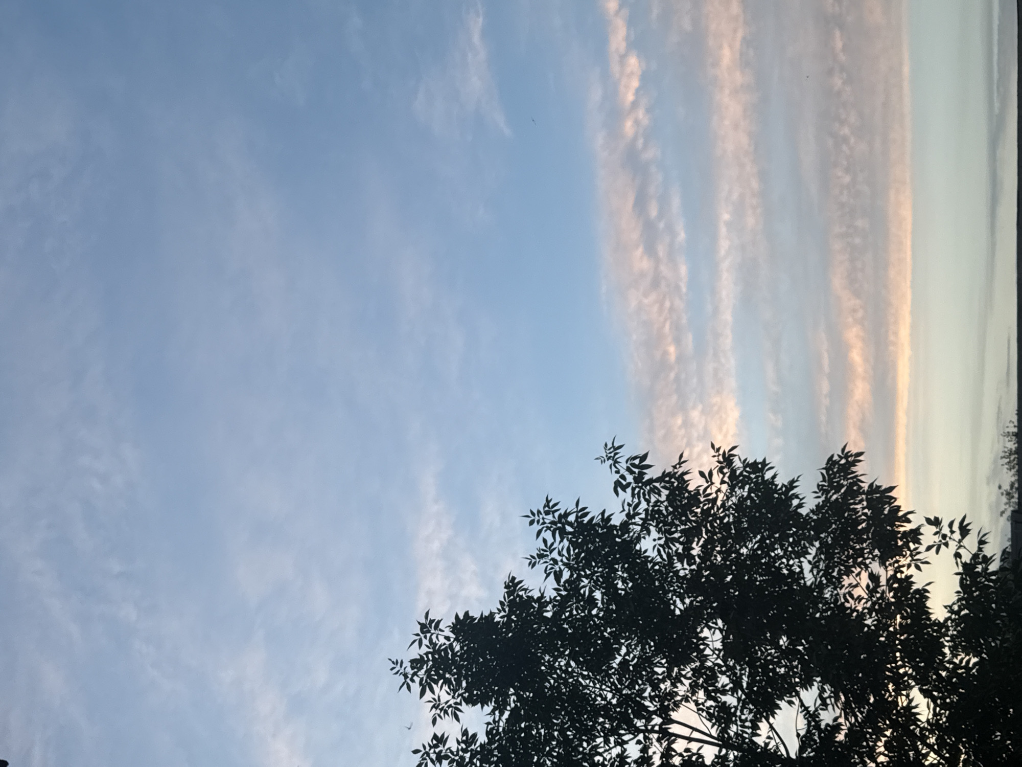 Evening sky and urban silhouettes in Orenburg, Russia