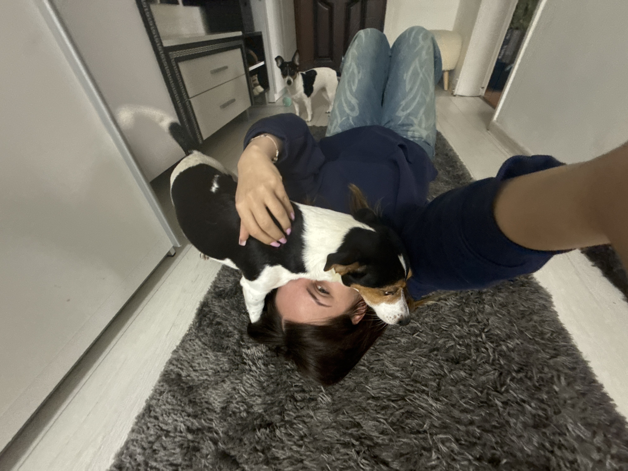 Woman plays with dog indoors in Sofia apartment