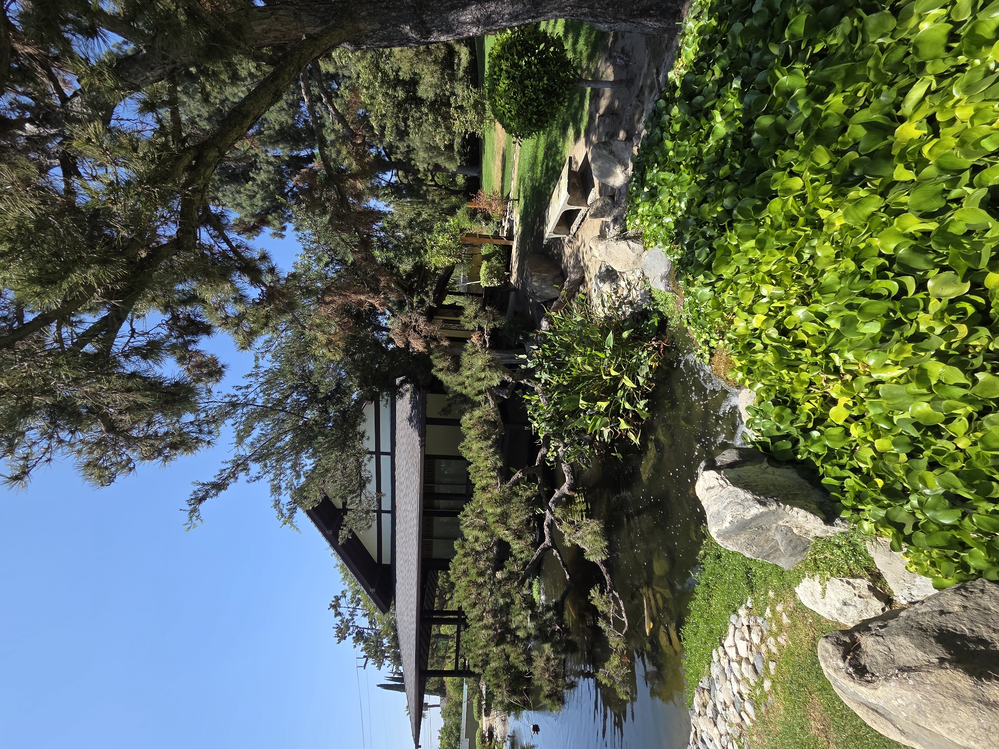 Afternoon in a Glendale Japanese garden: bridges, koi, and quiet water