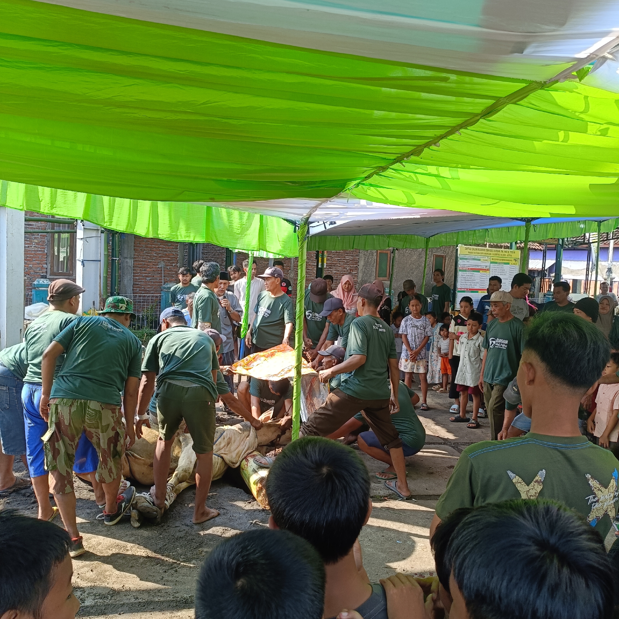 Community gathers for ritual cow slaughter in Sukomulyo, Indonesia