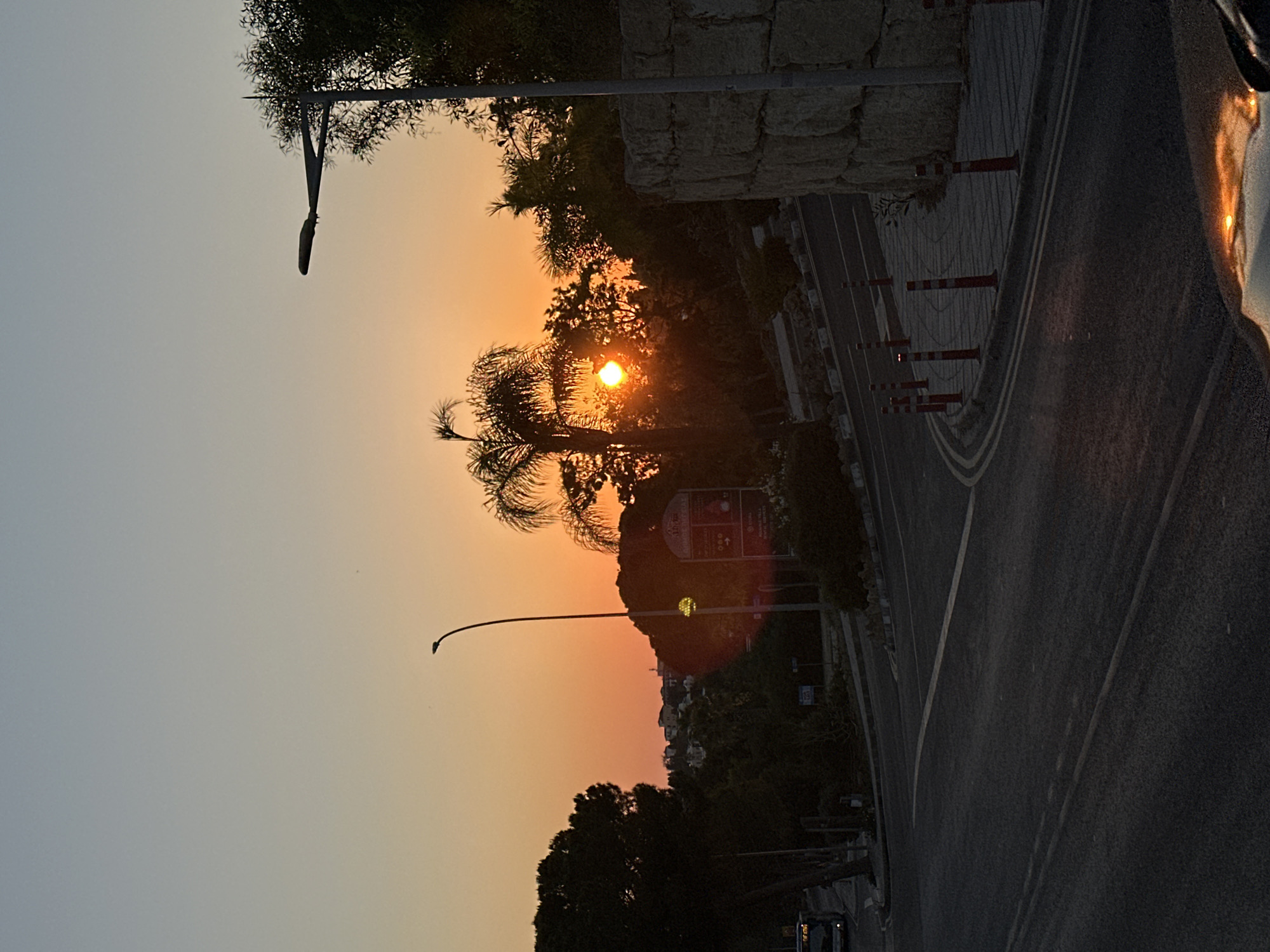 Sunset stroll through Peyia's palm-lined restaurant strip