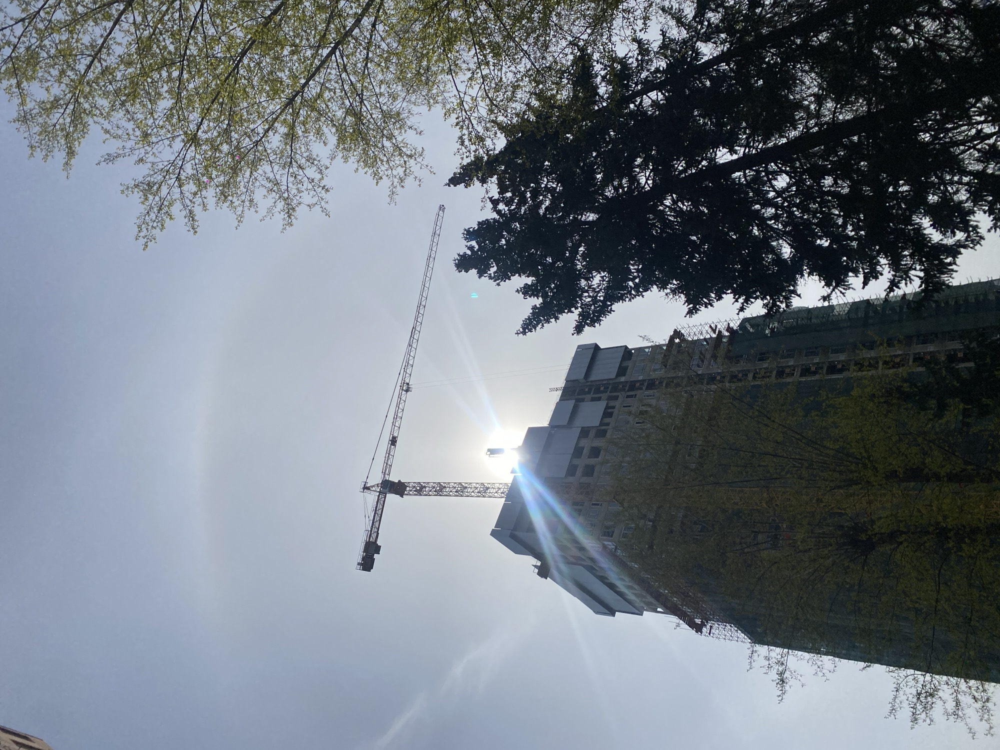 Morning scenes documented across Moscow markets and streets