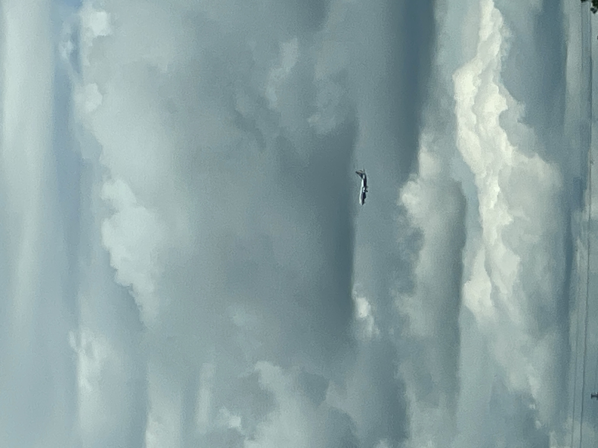 Aircraft spotted in flight over Pomorie, Bulgaria
