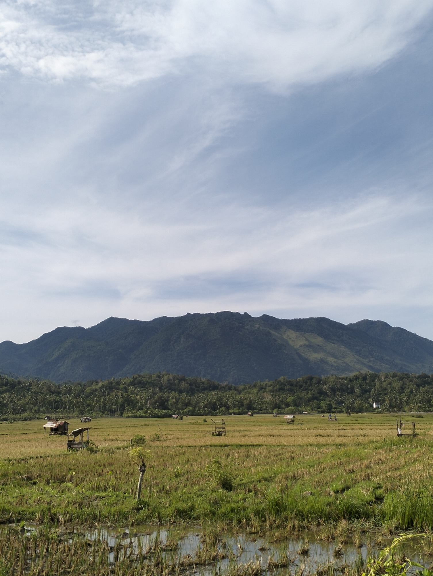 Harvested rice paddies with wooden structures observed in Lampisang