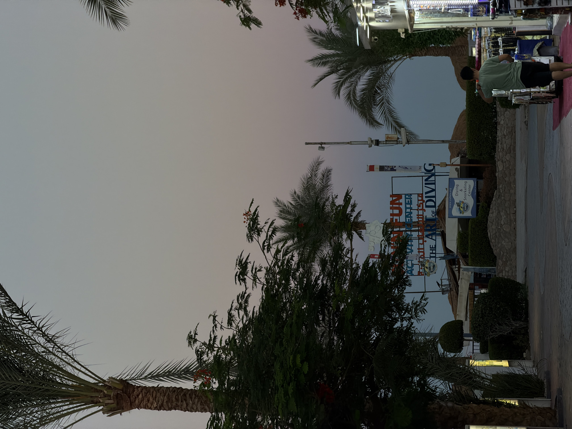 Sunset to nightlife along Sharm El Sheikh's resort strip