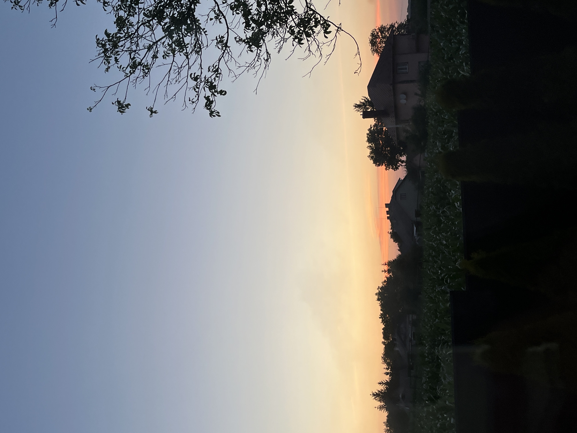 Summer evening at home in Koroviia: pool, pizza, garden at dusk