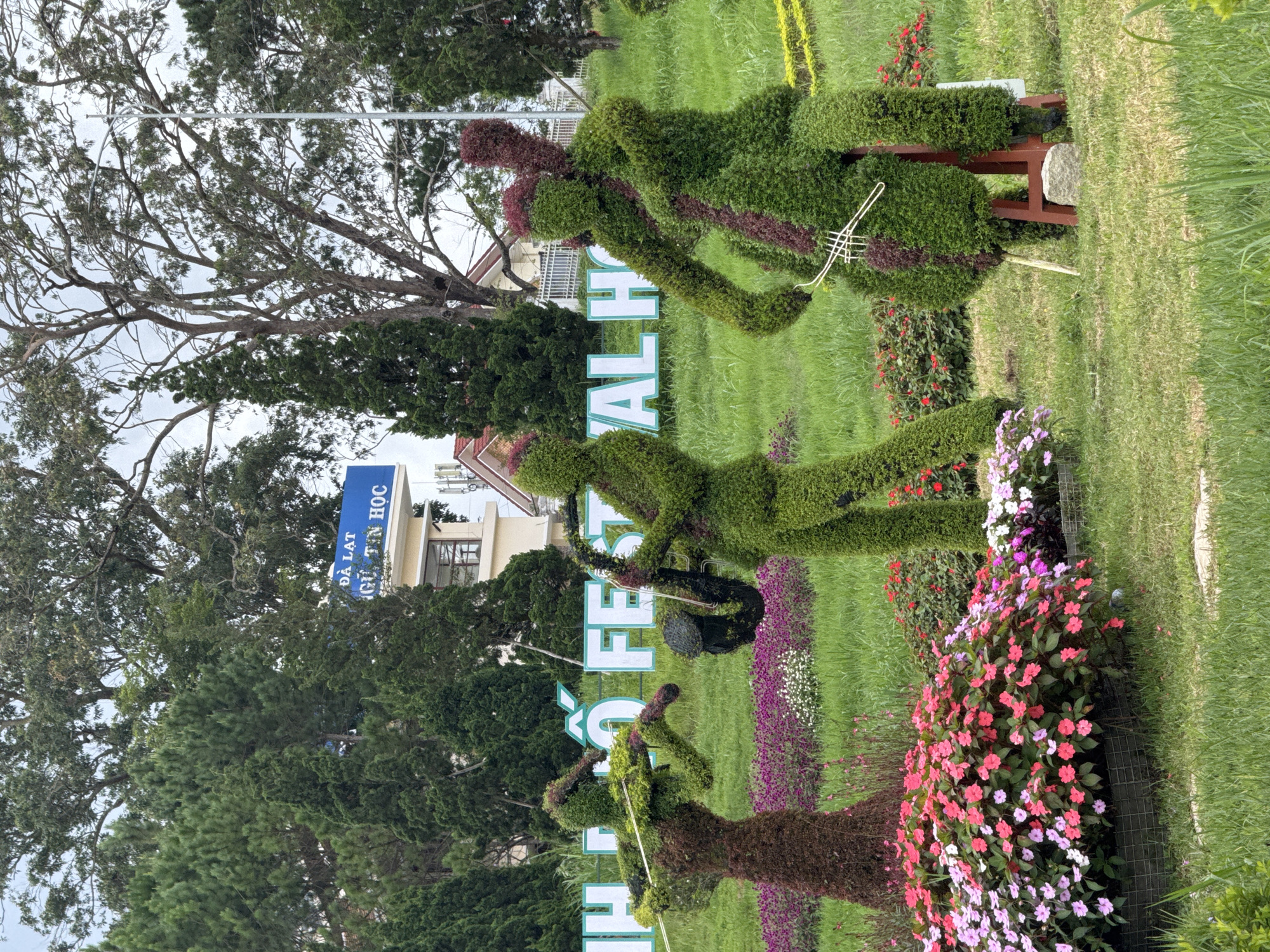 Da Lat tourist scenes with topiary art and street activity
