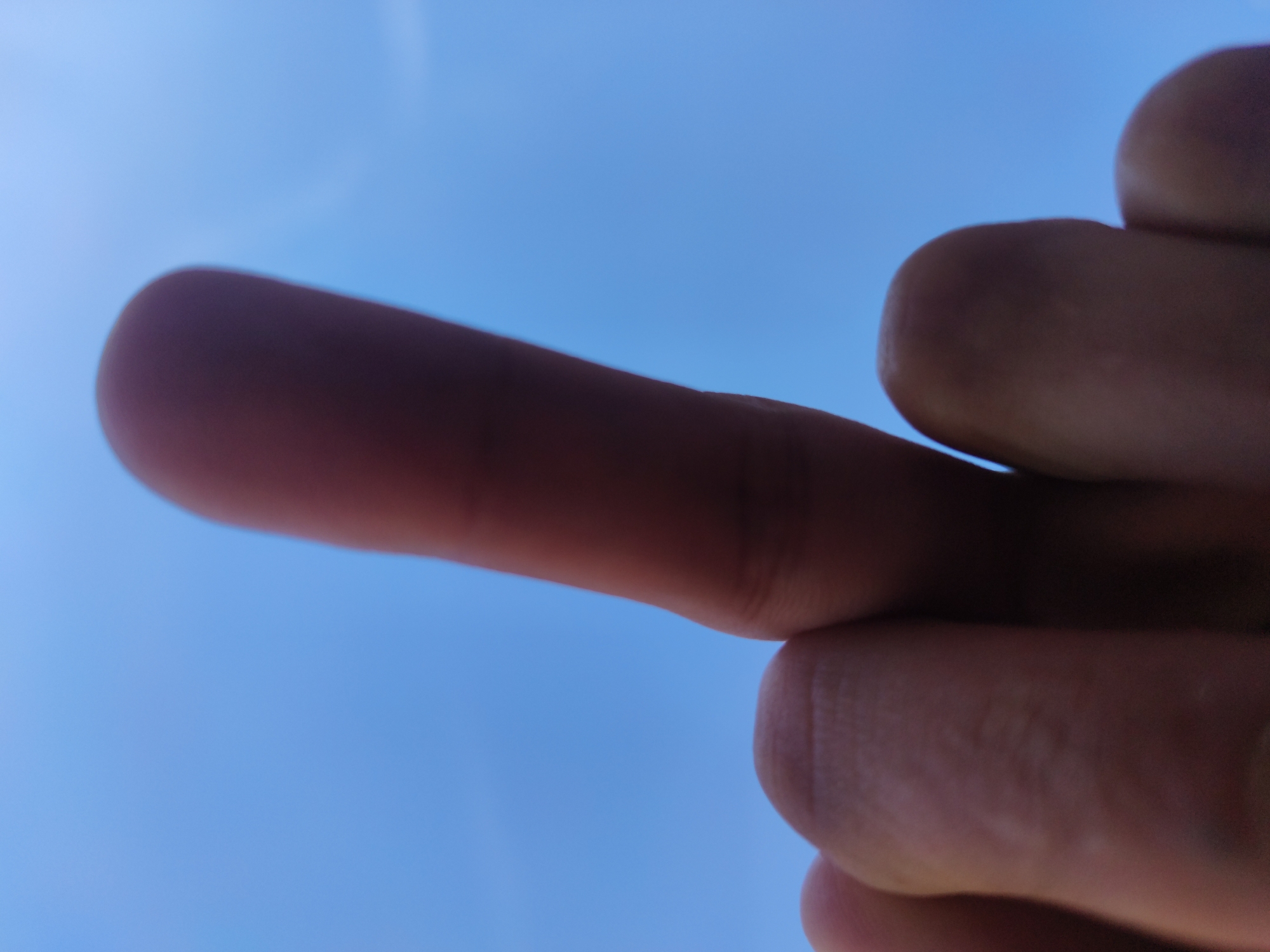 Witness captures five random close-up object photos within minutes