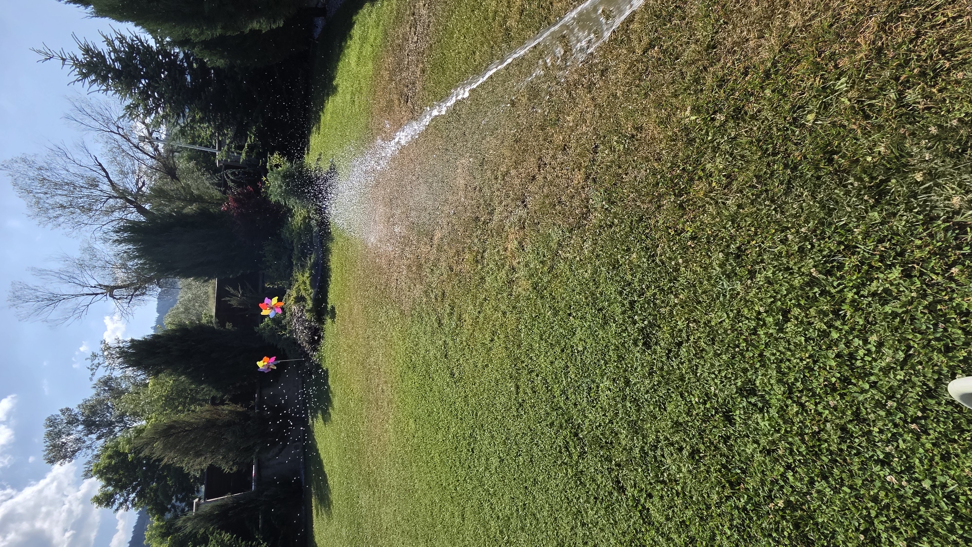 Quiet summer morning: garden watering and breakfast in Bania