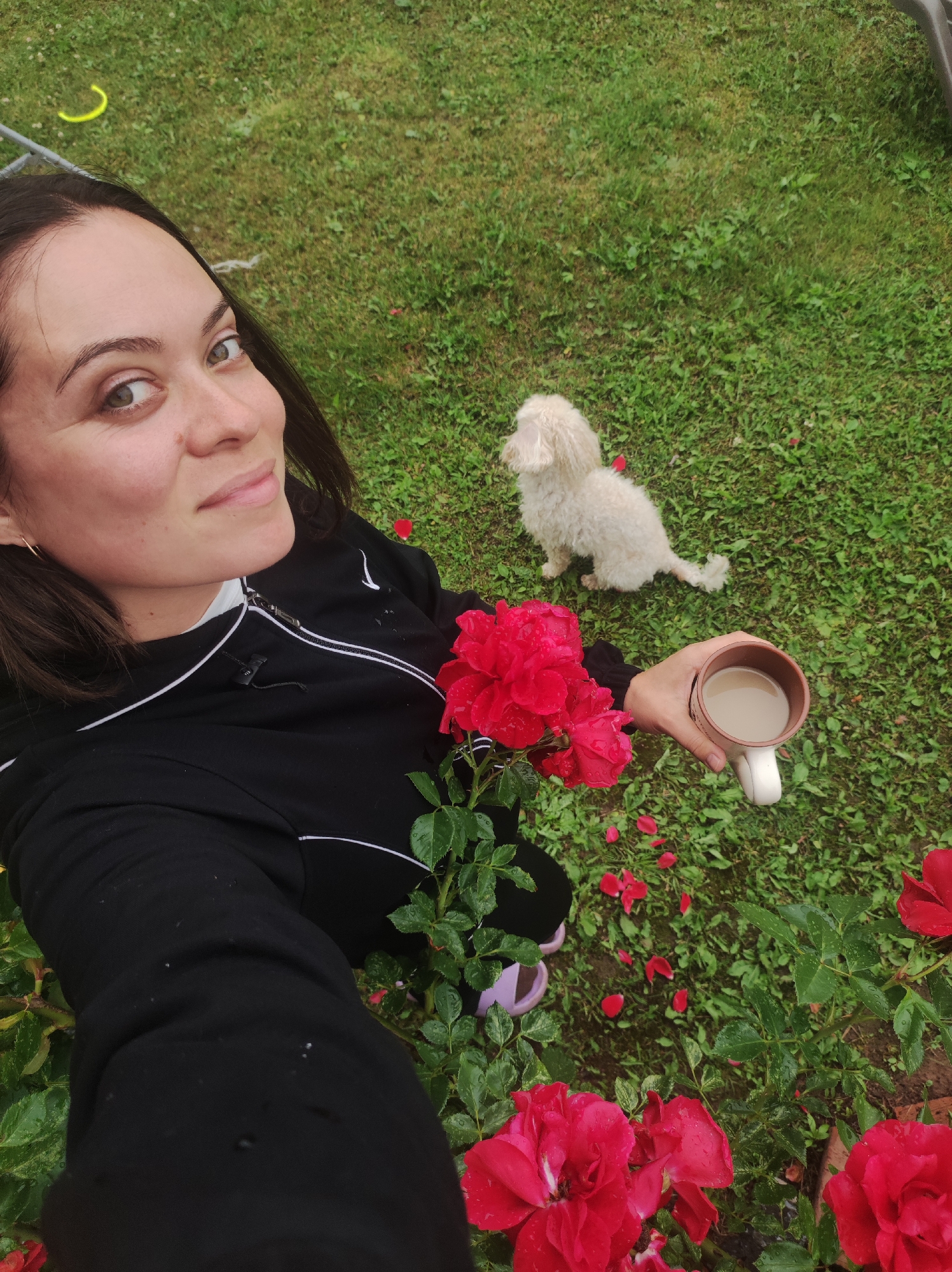 Coffee, roses, and a poodle on a summer morning in Russia